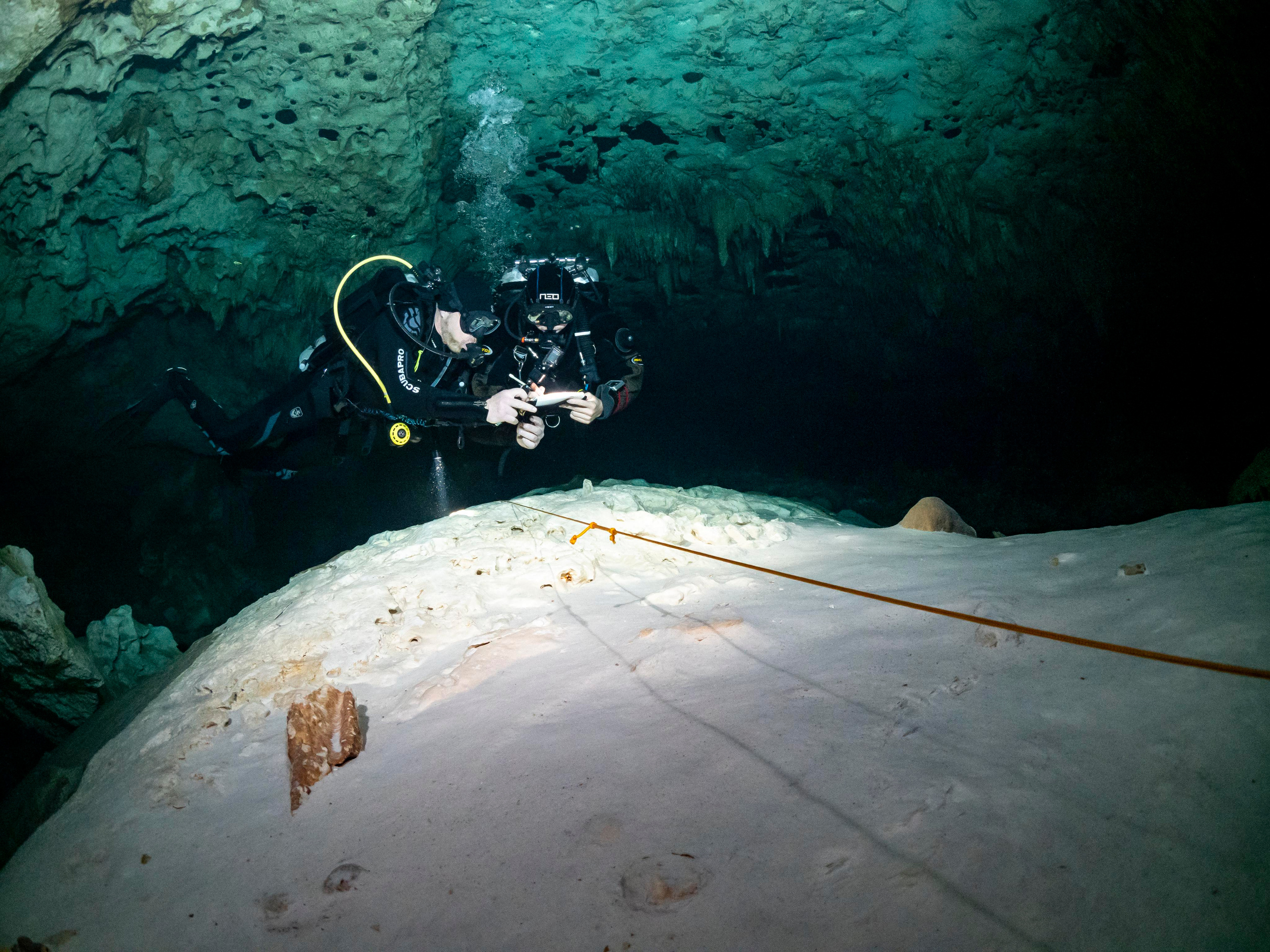 Сenote. Your photographer on land and under water— Alexey Zaytsev