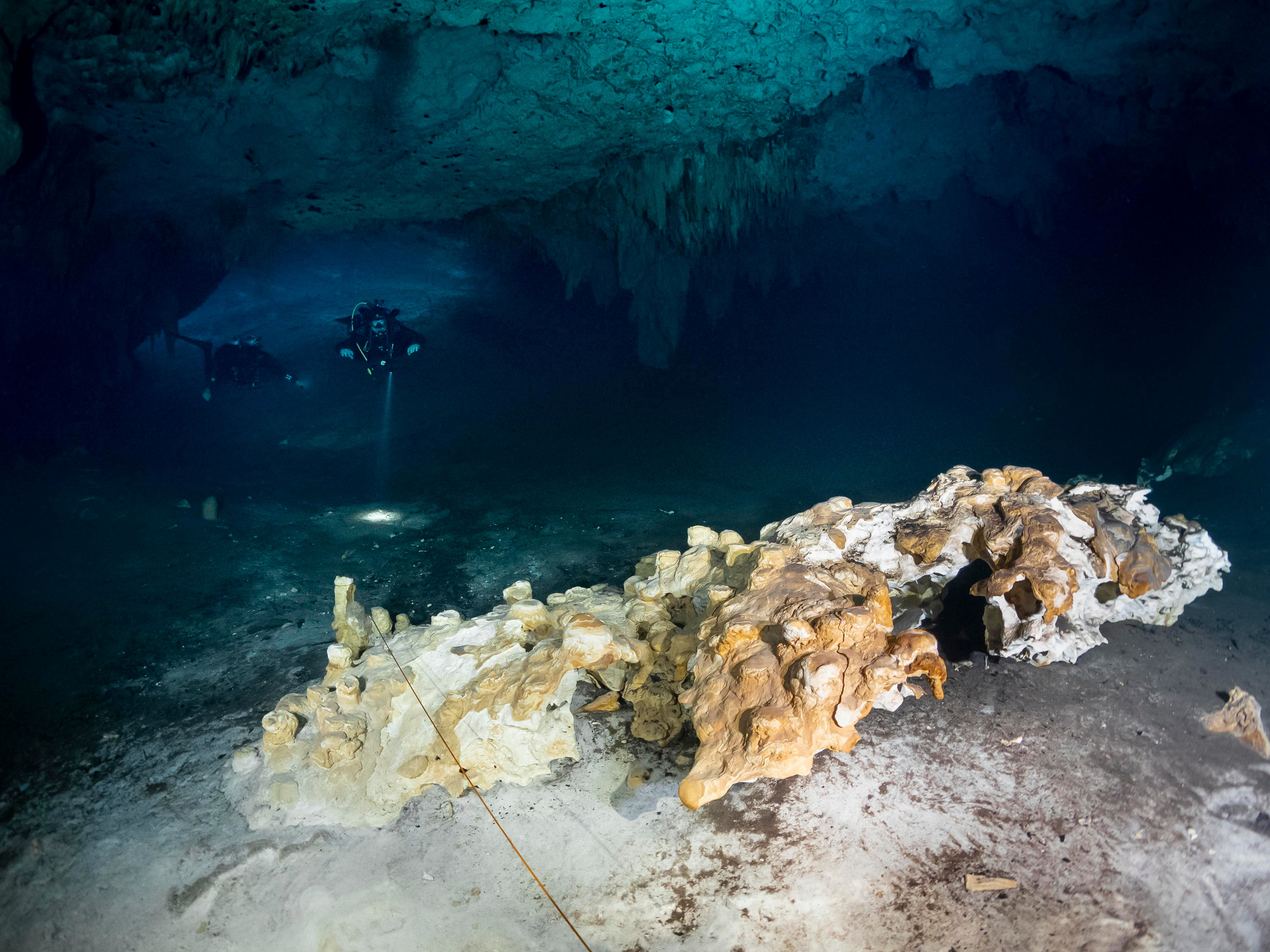 Сenote. Your photographer on land and under water— Alexey Zaytsev