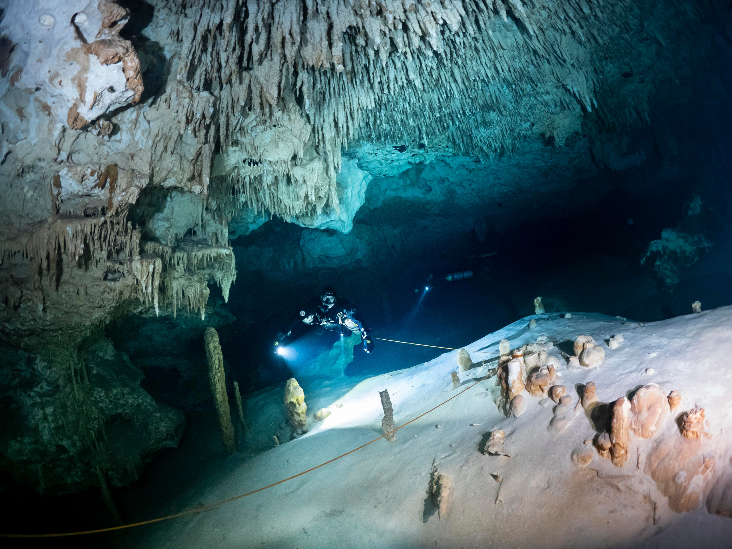Сenote. Your photographer on land and under water— Alexey Zaytsev