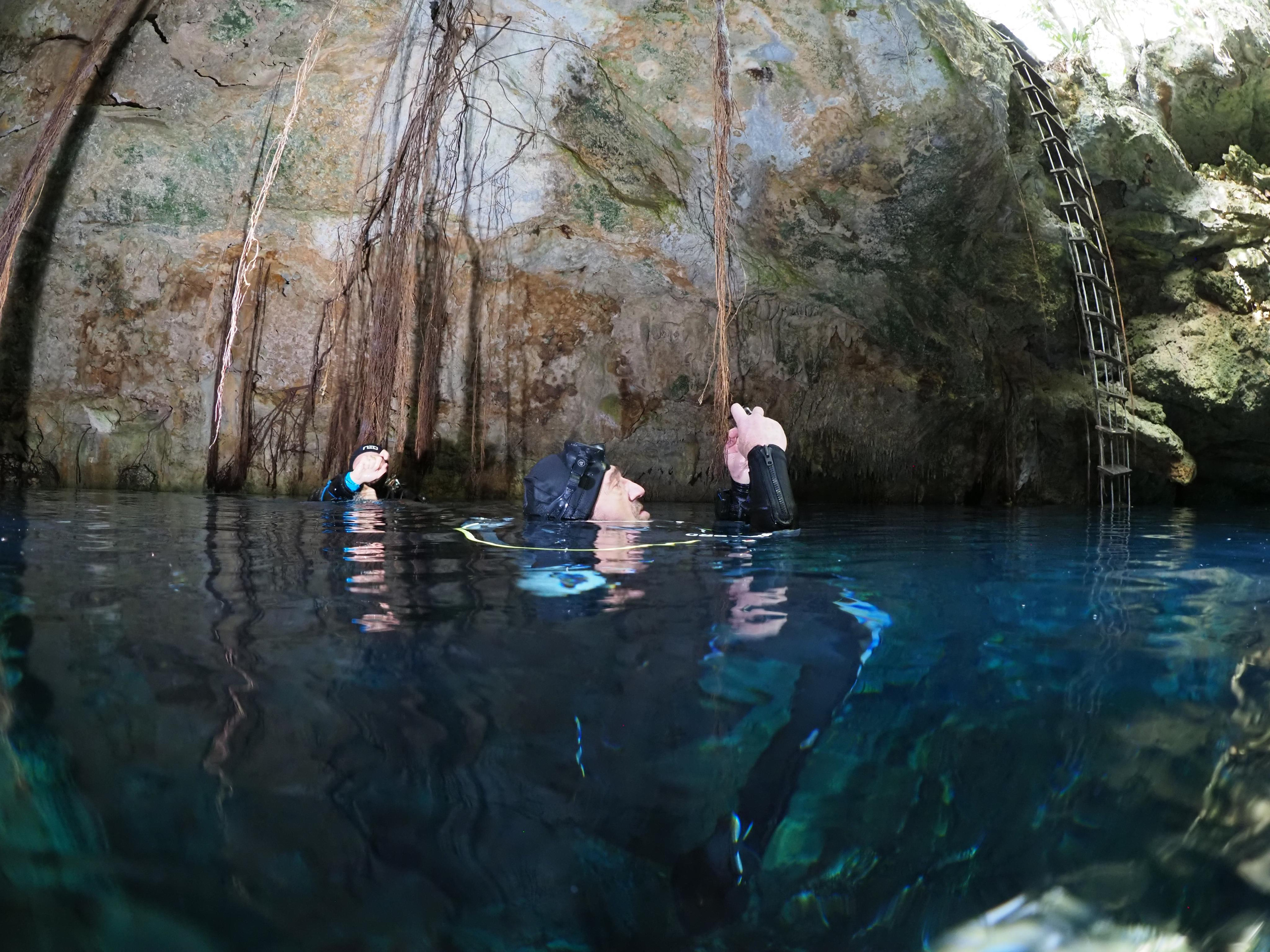 Сenote. Your photographer on land and under water— Alexey Zaytsev