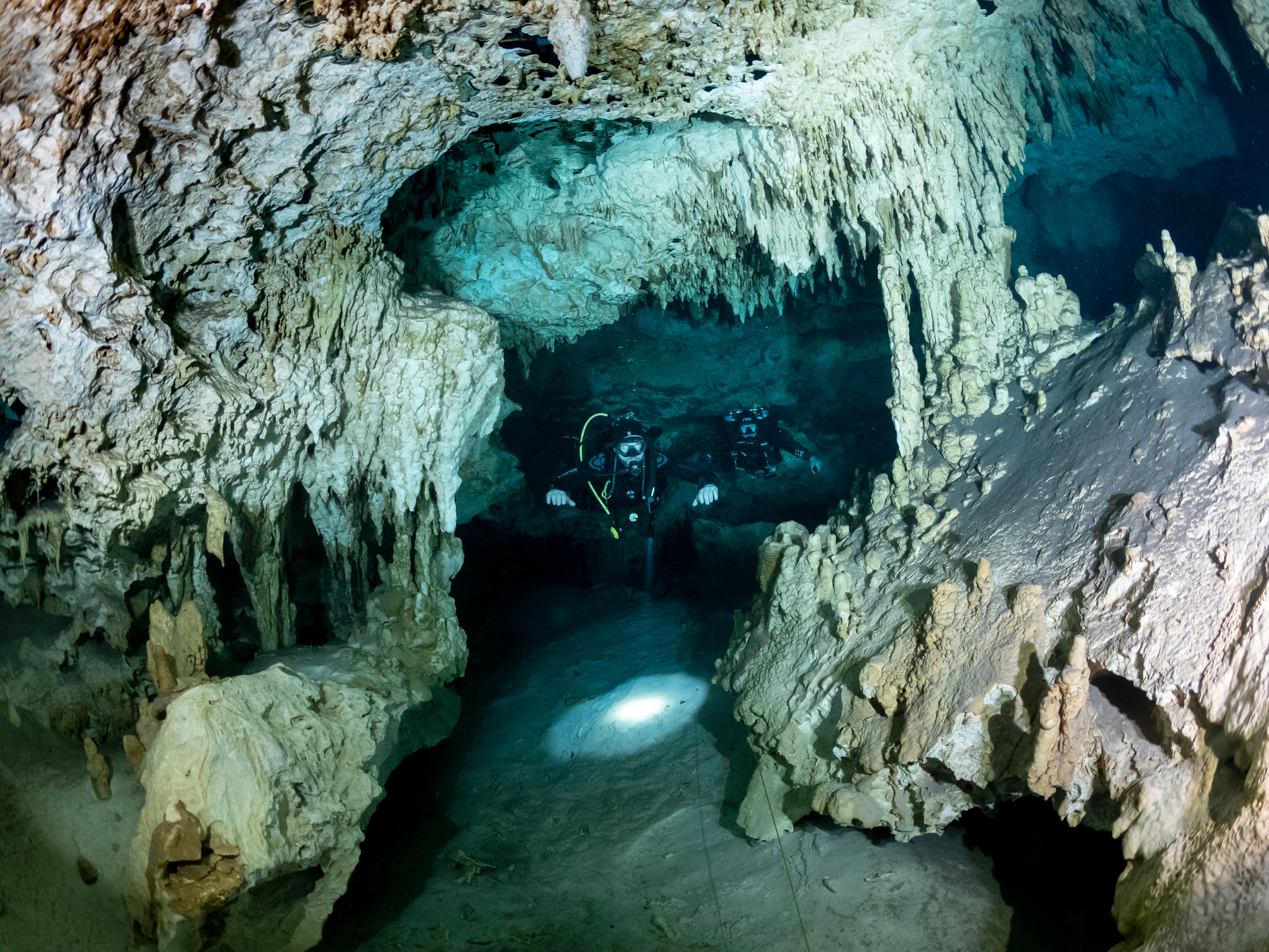 Сenote. Your photographer on land and under water— Alexey Zaytsev