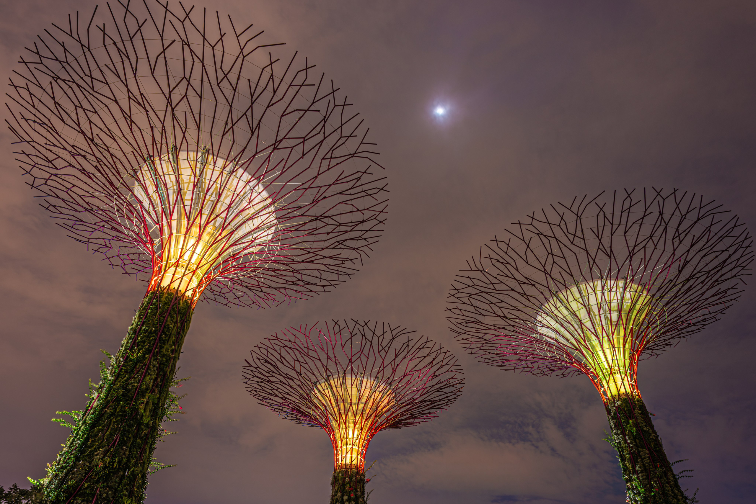 Singapore. Shanti Alex Art