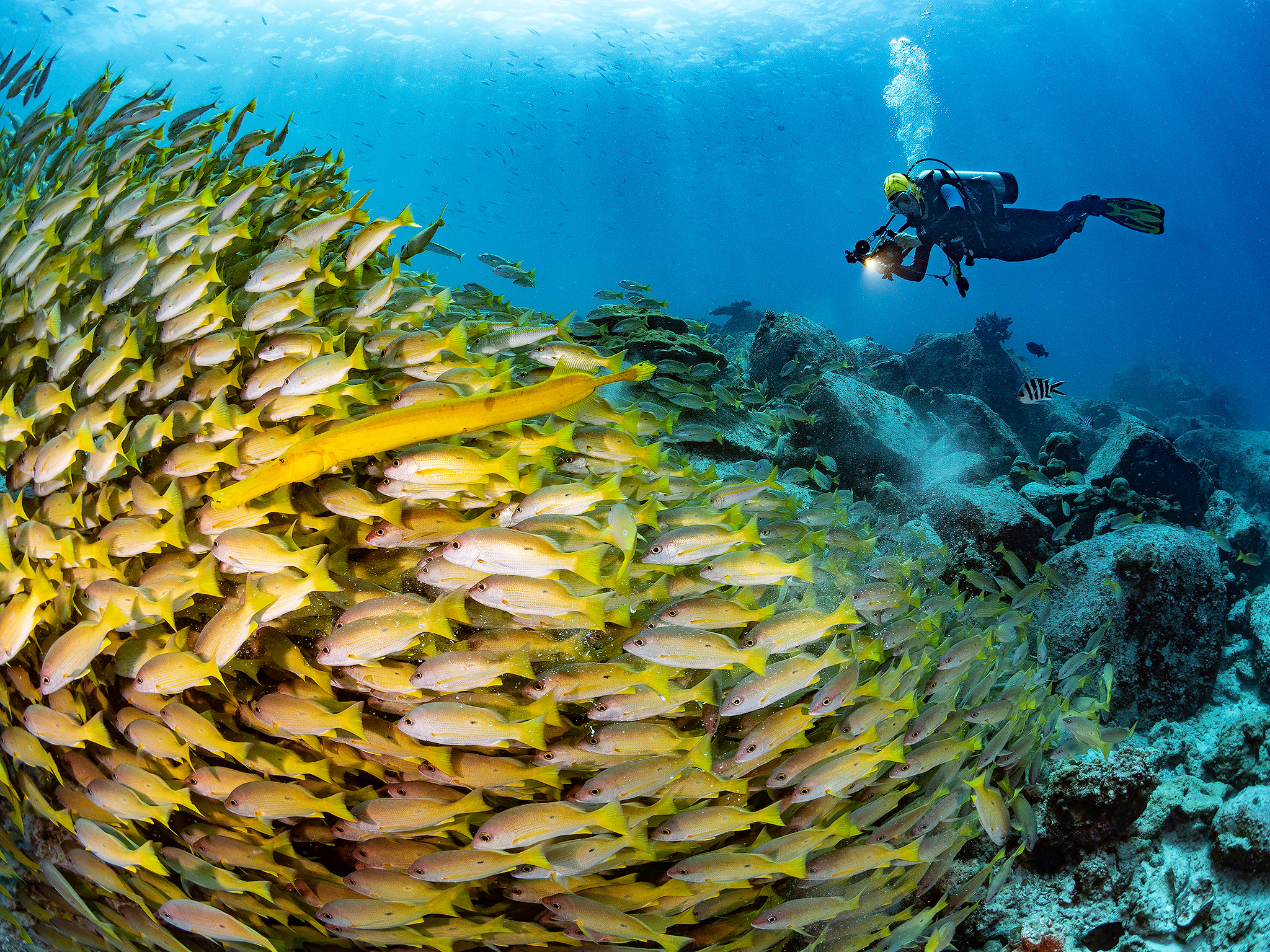 Underwater Photo Shoot. Your photographer on land and under water— Alexey Zaytsev
