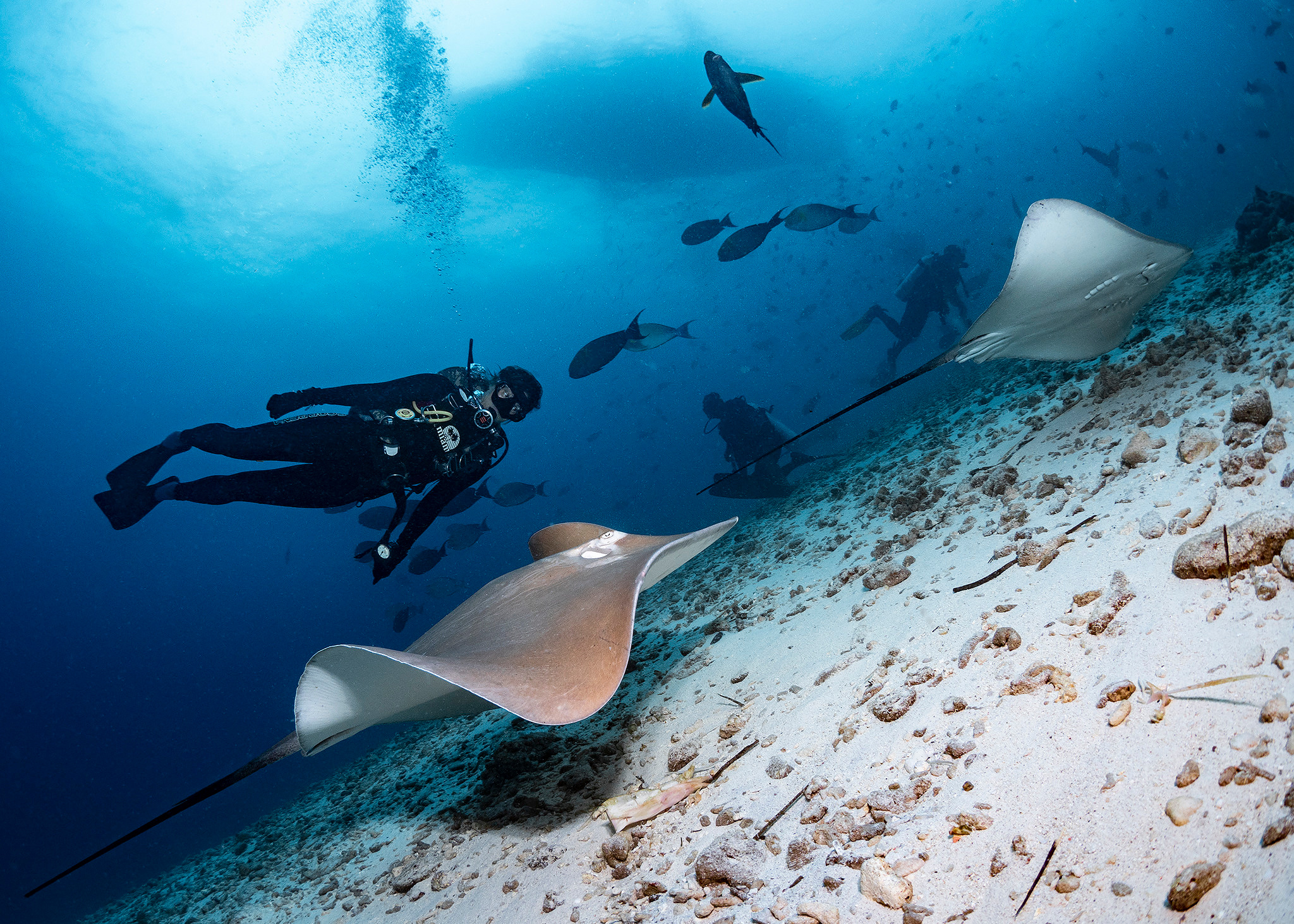 Underwater Photo Shoot. Your photographer on land and under water— Alexey Zaytsev