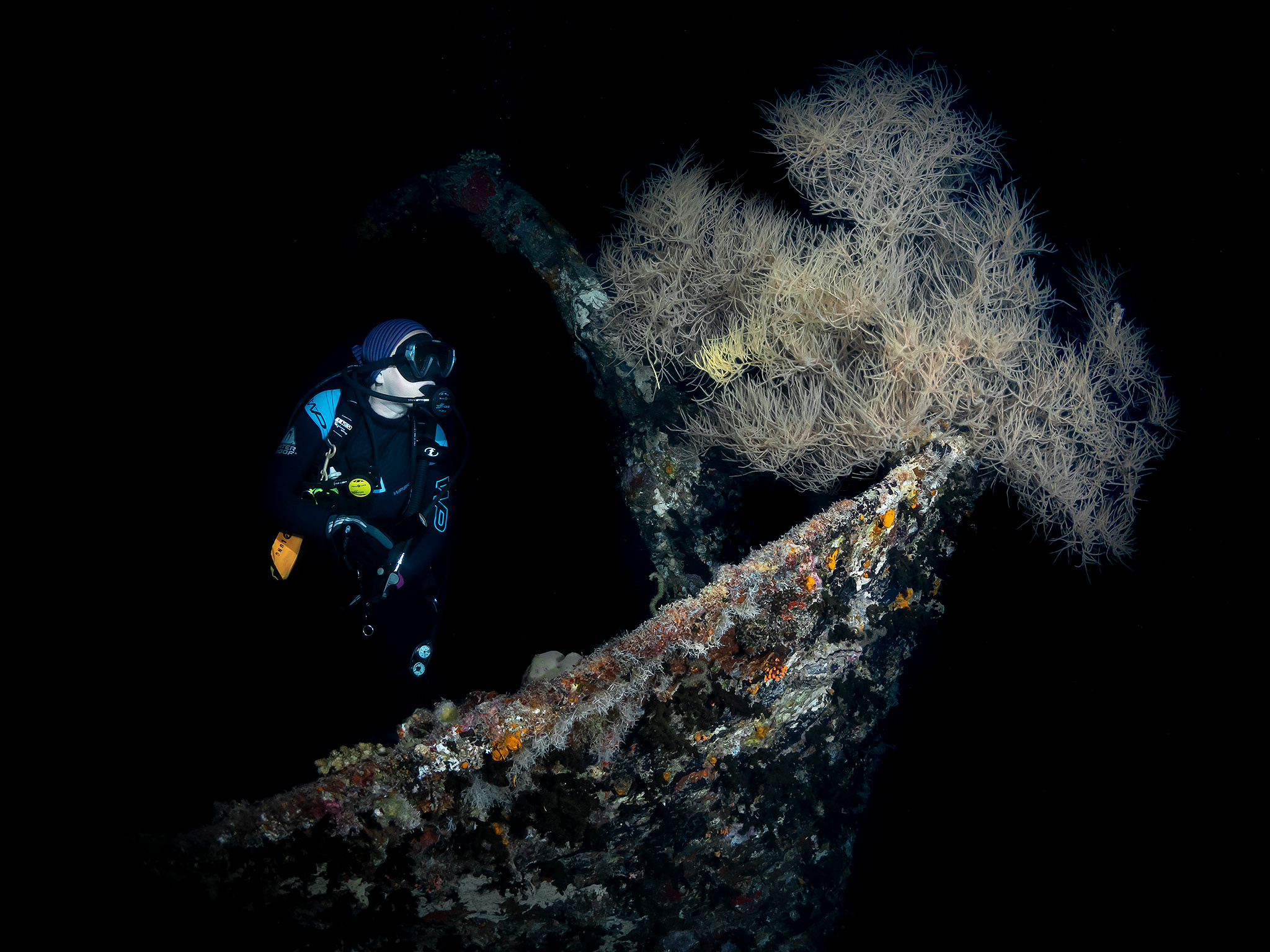 Underwater Photo Shoot. Your photographer on land and under water— Alexey Zaytsev