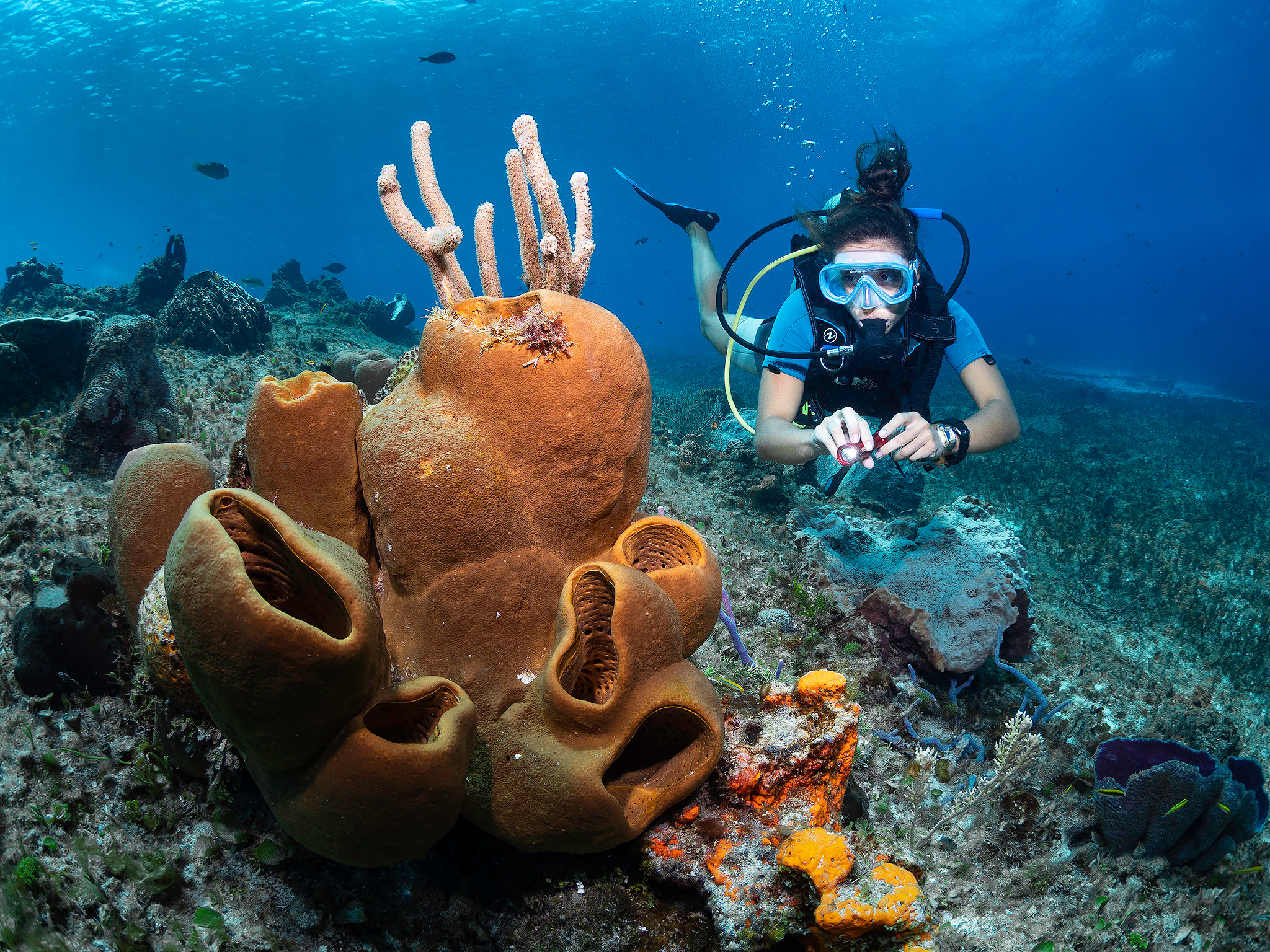 Underwater Photo Shoot. Your photographer on land and under water— Alexey Zaytsev