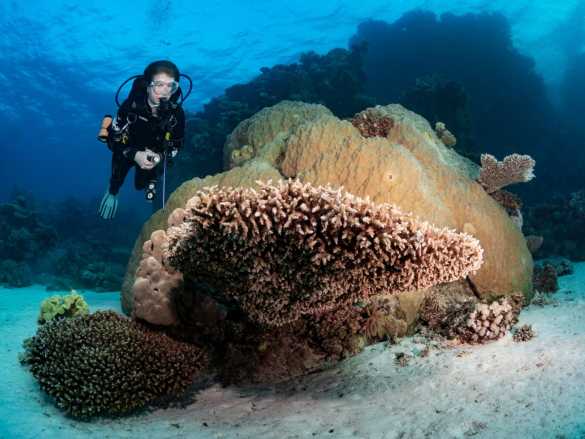 Underwater Photo Shoot. Your photographer on land and under water— Alexey Zaytsev