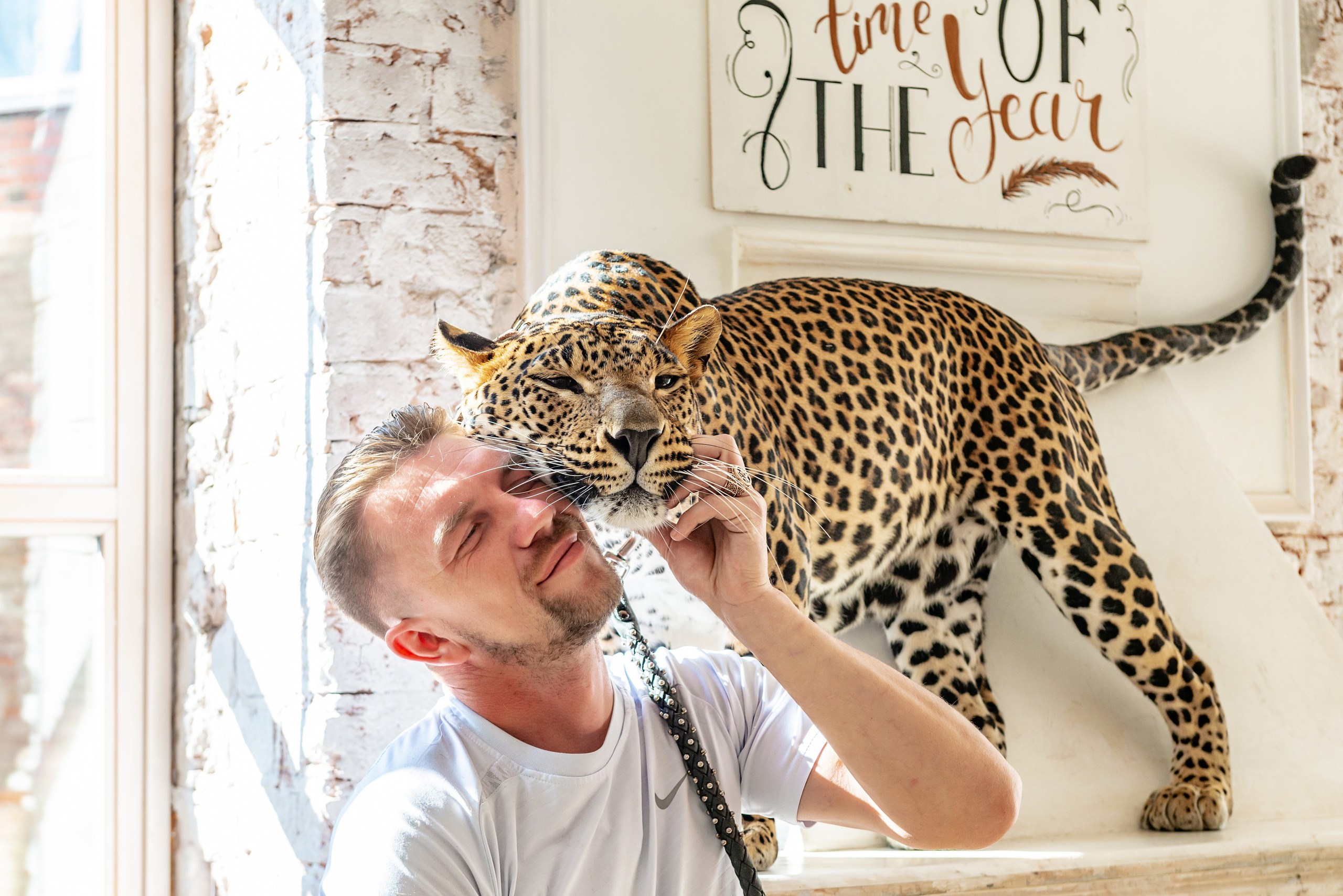 Photosession in the studio with a leopard. PHOTOGRAPHER QUINTANA ROO