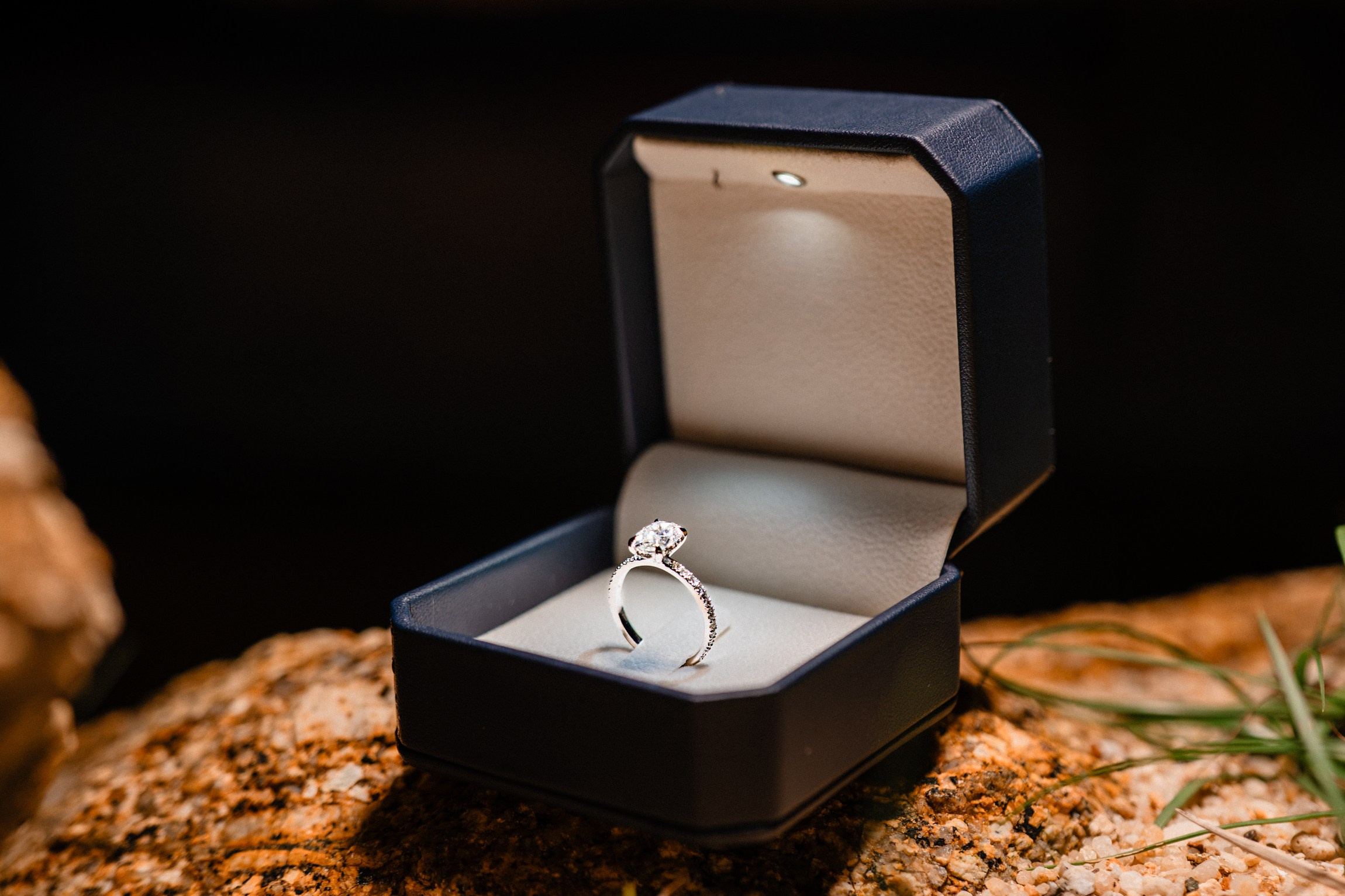 Eden and Linoy. Marriage Proposal Planner in Vietnam | Lumi Love Studio