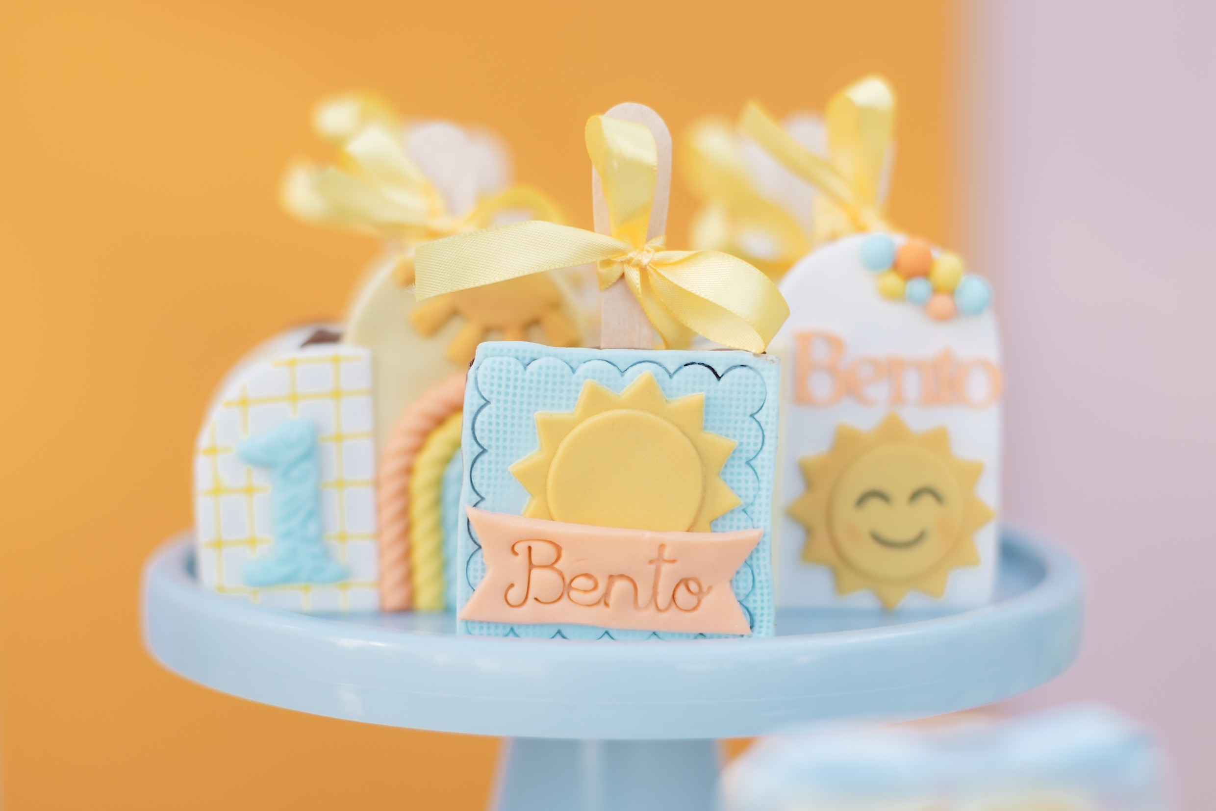 Bento 1 ano • Festa infantil em A Casa com Jardim | Fotografia de Família em Brasília e Recife