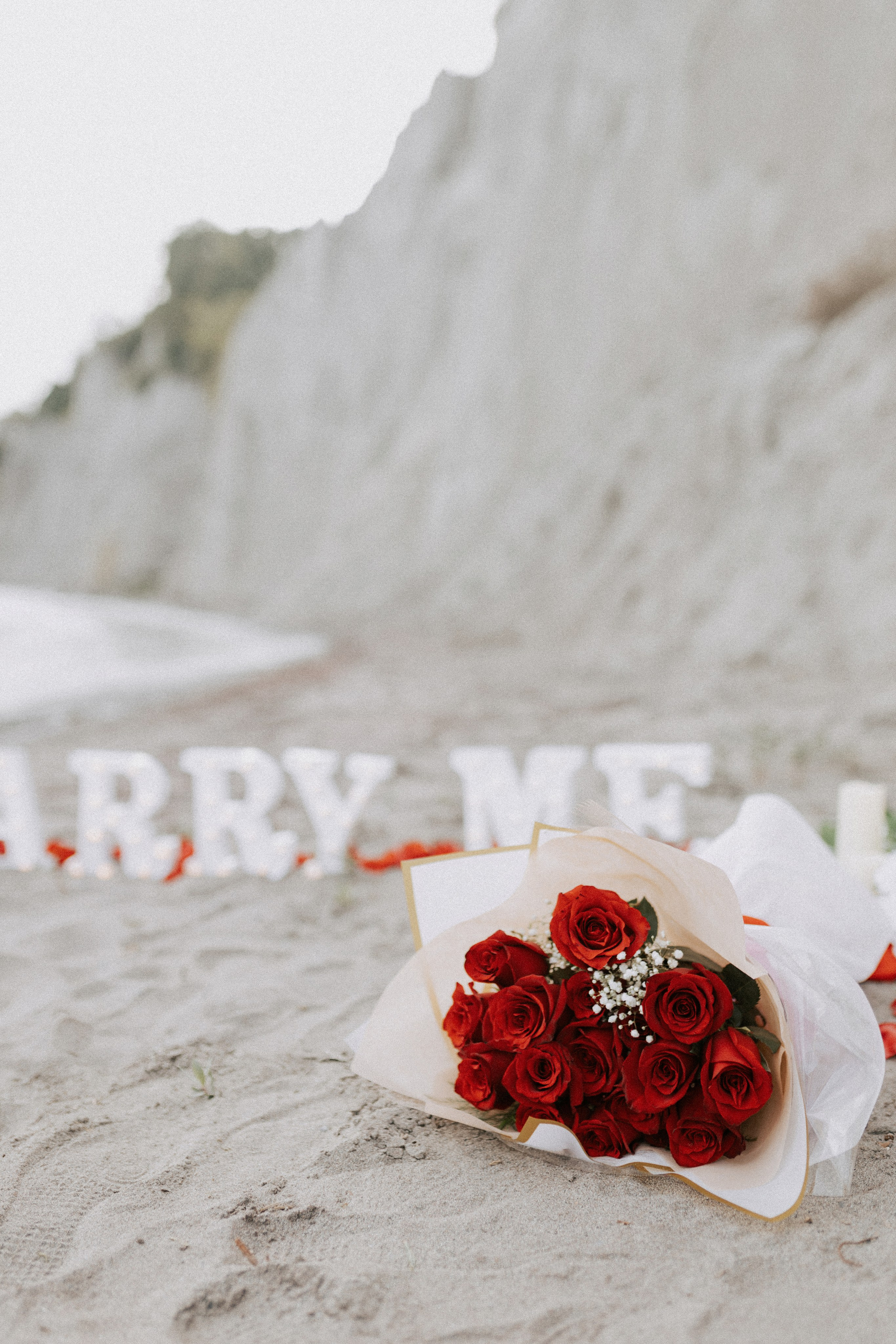 Proposal Scarborough Bluffs. Chernenko.photography