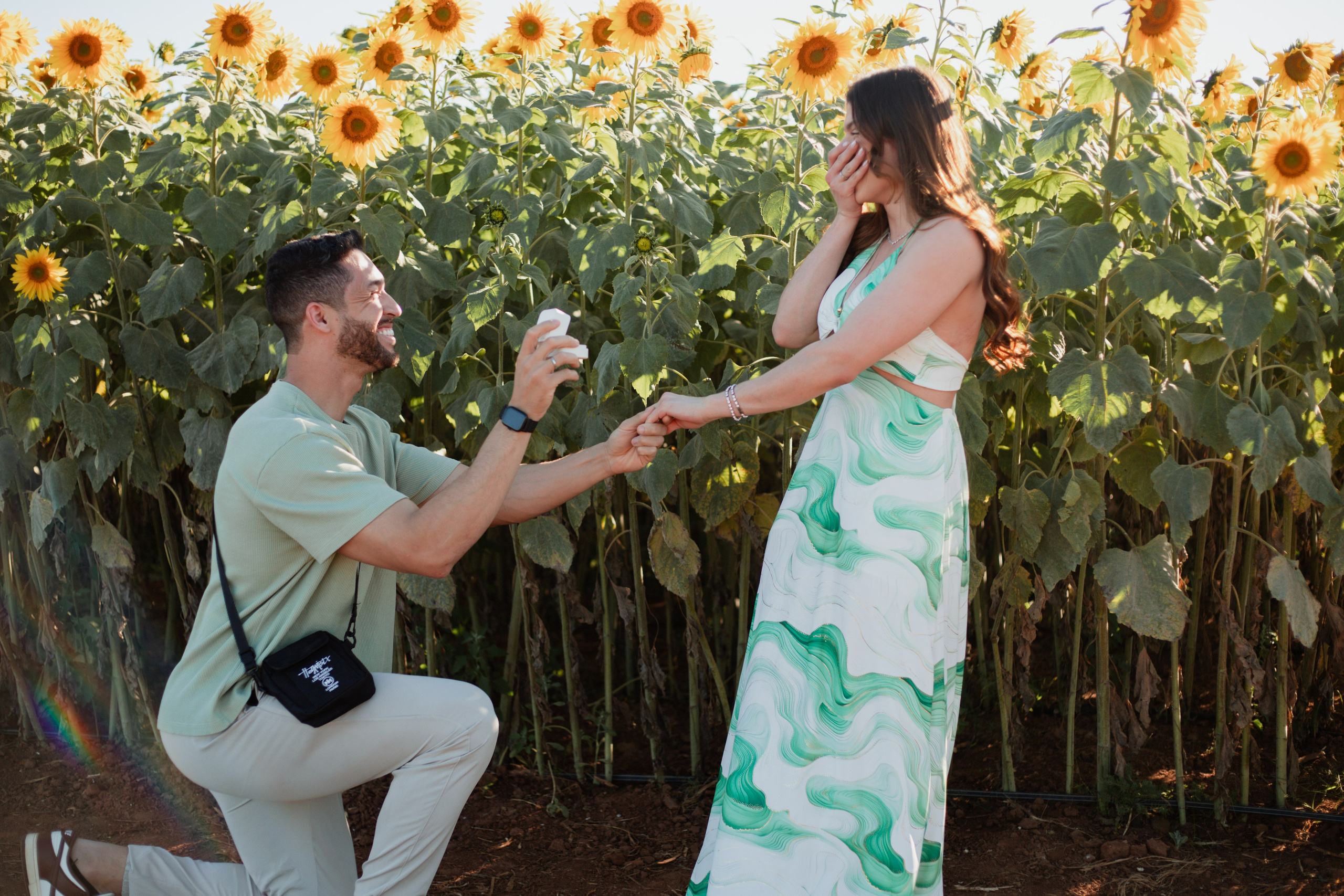 Pedido de Casamento em Holambra. Joyce Maria Fotografia | Fotógrafa em Holambra