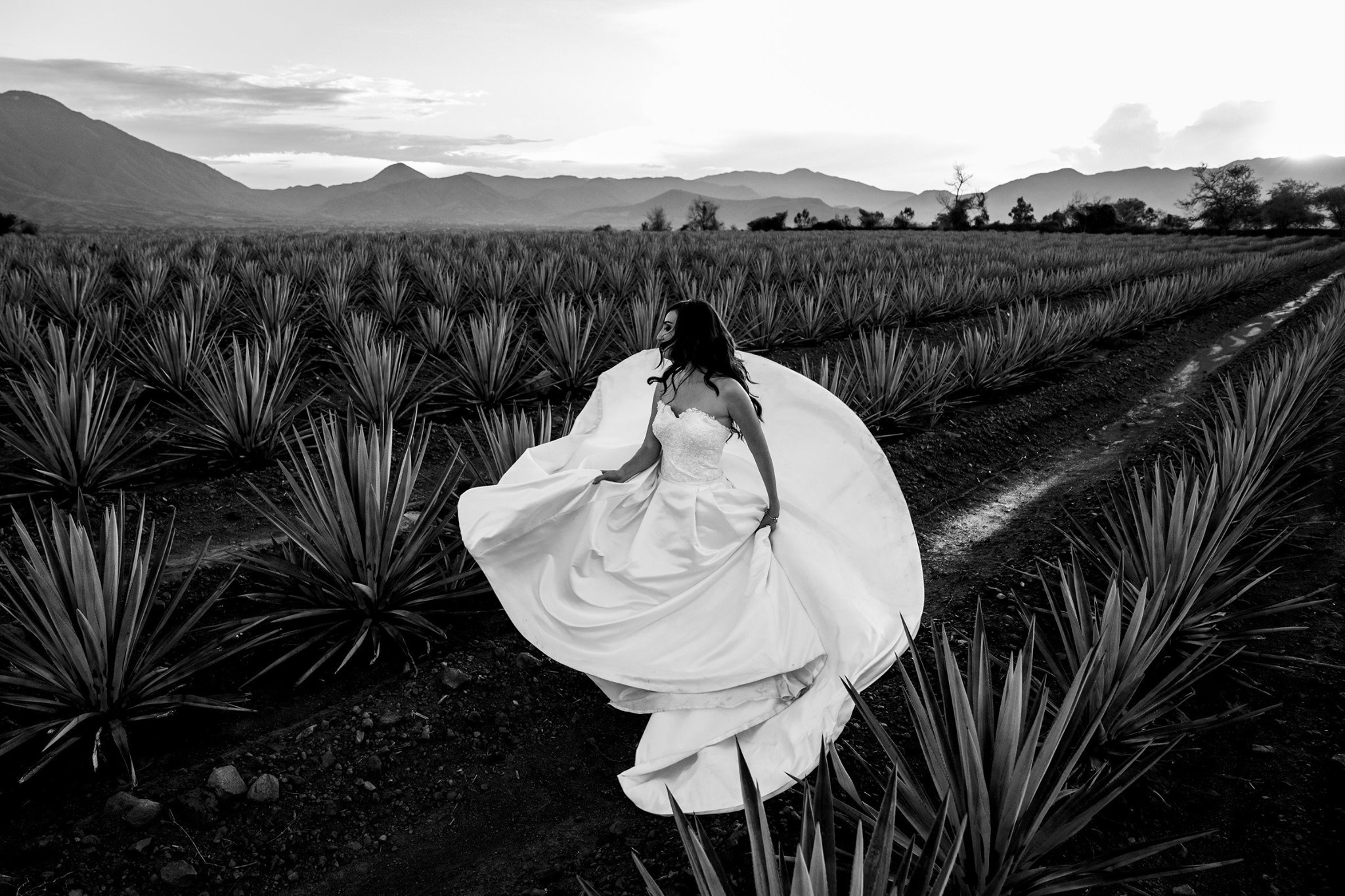 Jorge Romero Fotógrafo de bodas
