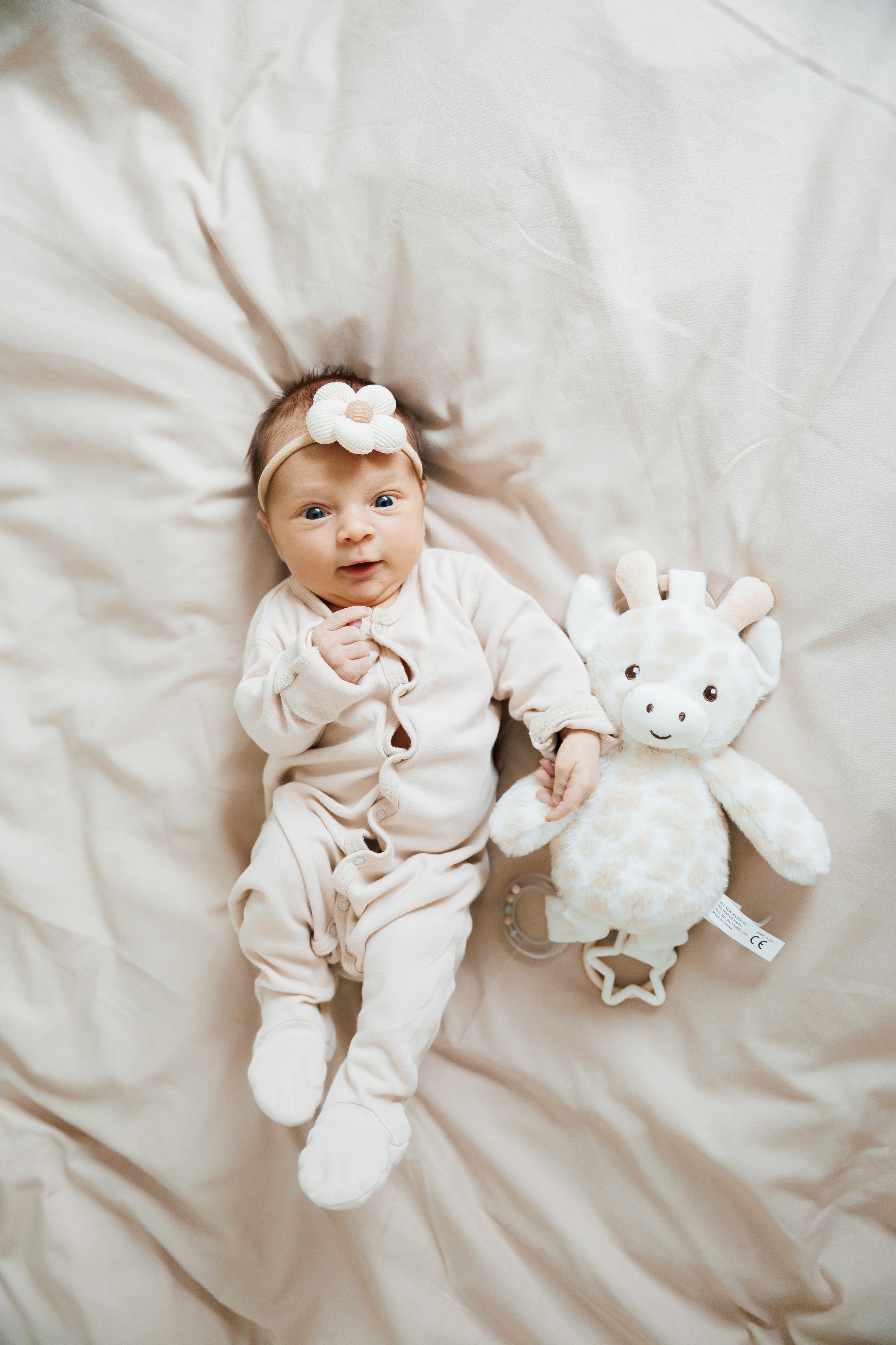 New born. Photographer Elvira Hryshchenko