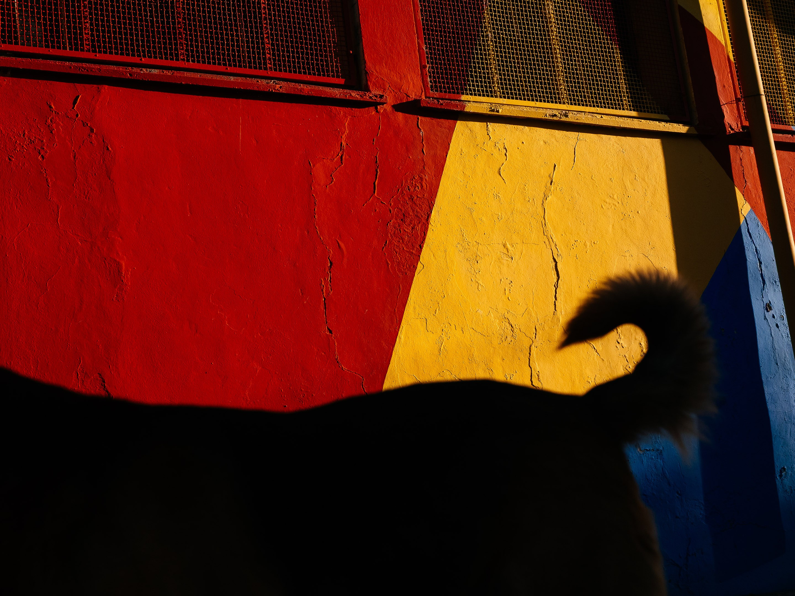 Street and Documentary Photography — Federico Borobio Portfolio. Federico Borobio — Street and documentary photography