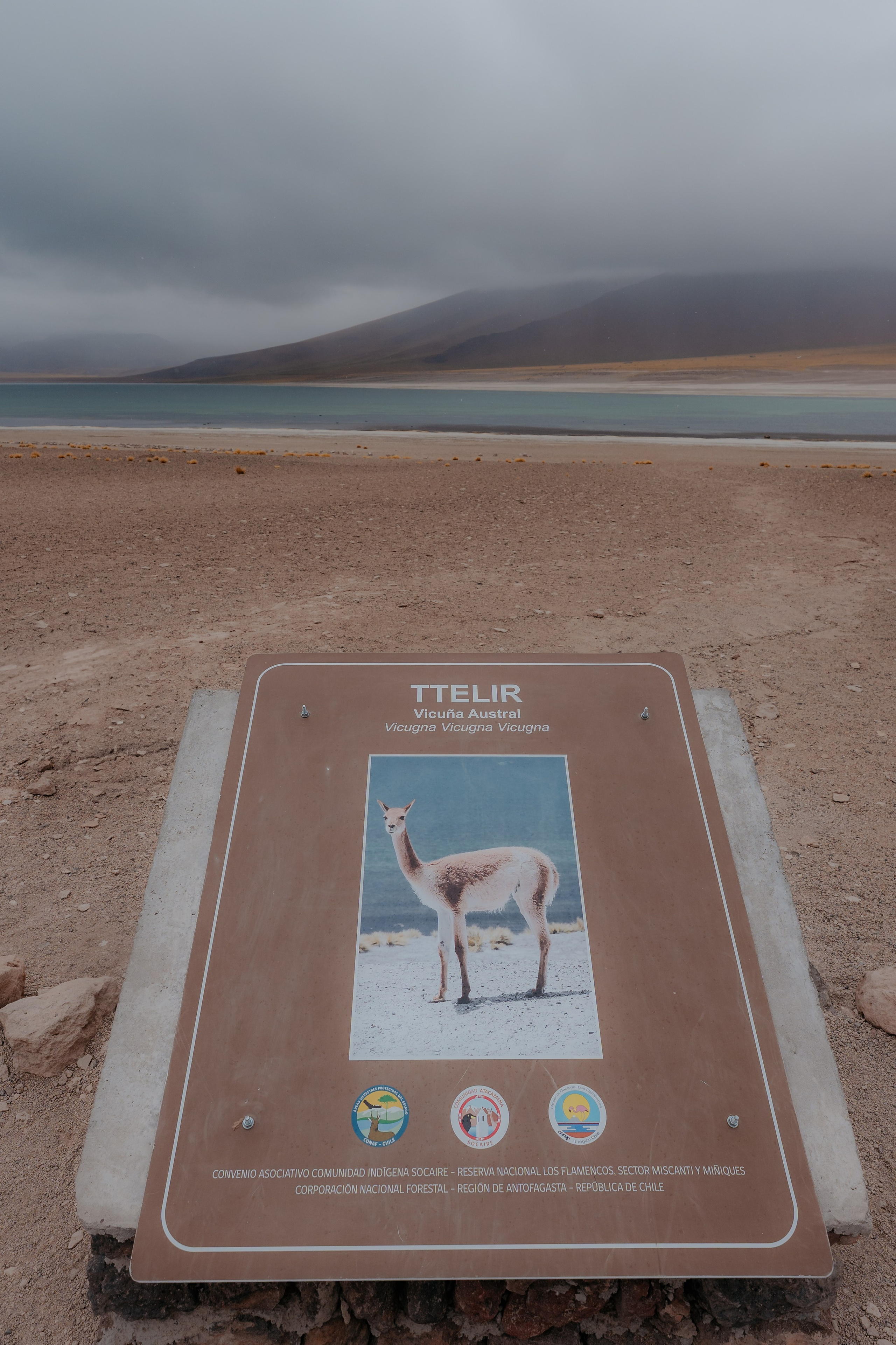 Cobertura de passeio — Piedras Rojas. Fotógrafo em San Pedro de Atacama