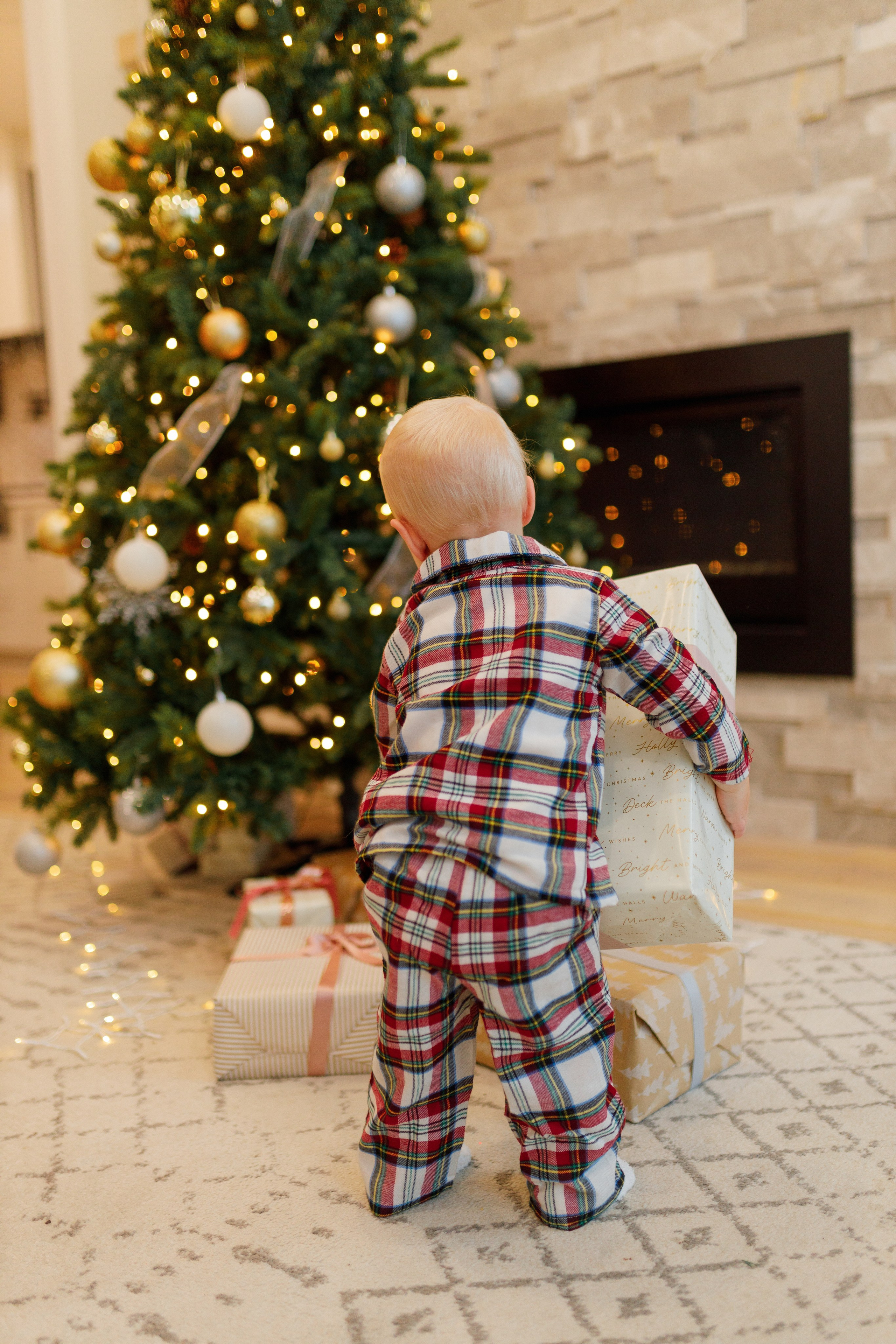 Christmas minis 2026. Photographer Elvira Hryshchenko
