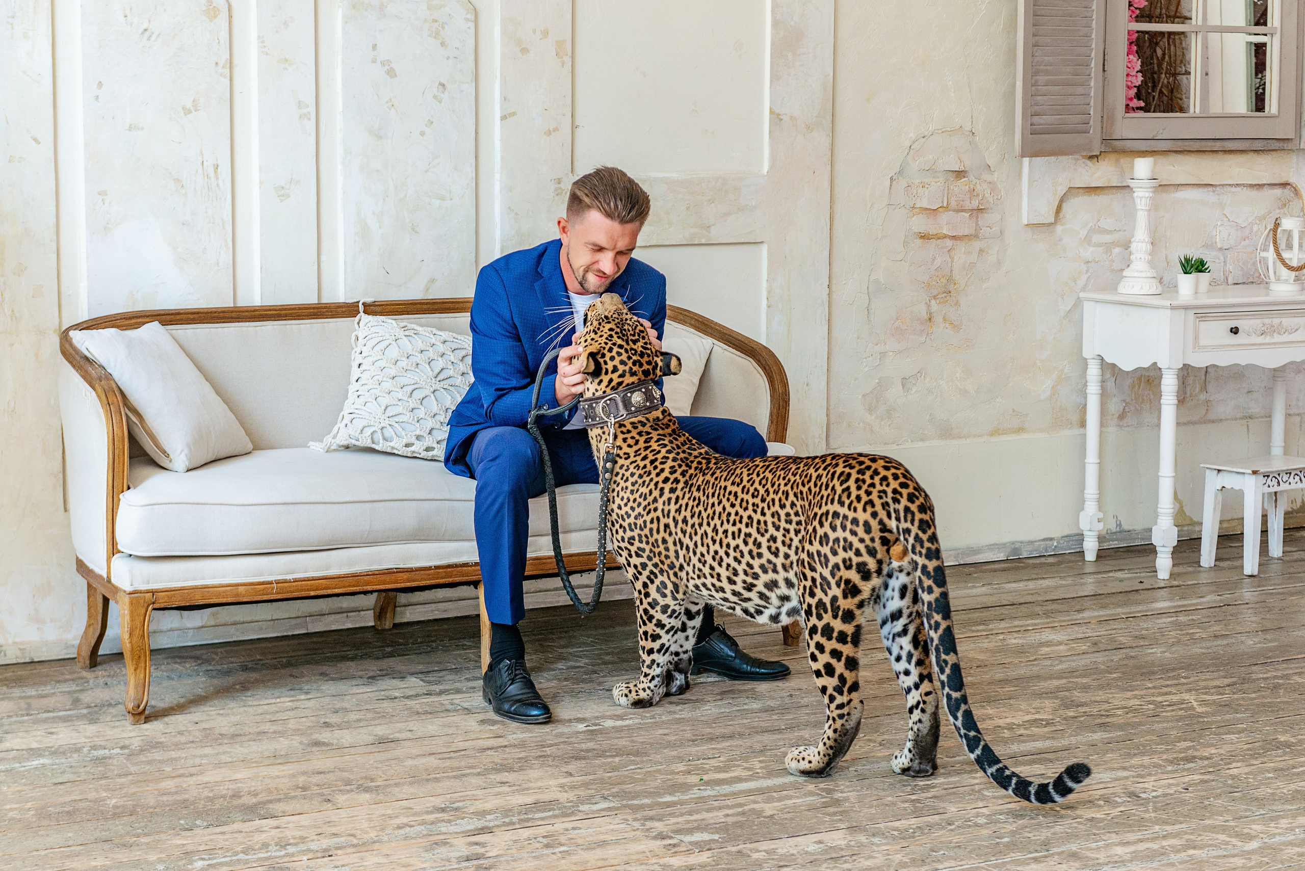 Photosession in the studio with a leopard. PHOTOGRAPHER QUINTANA ROO