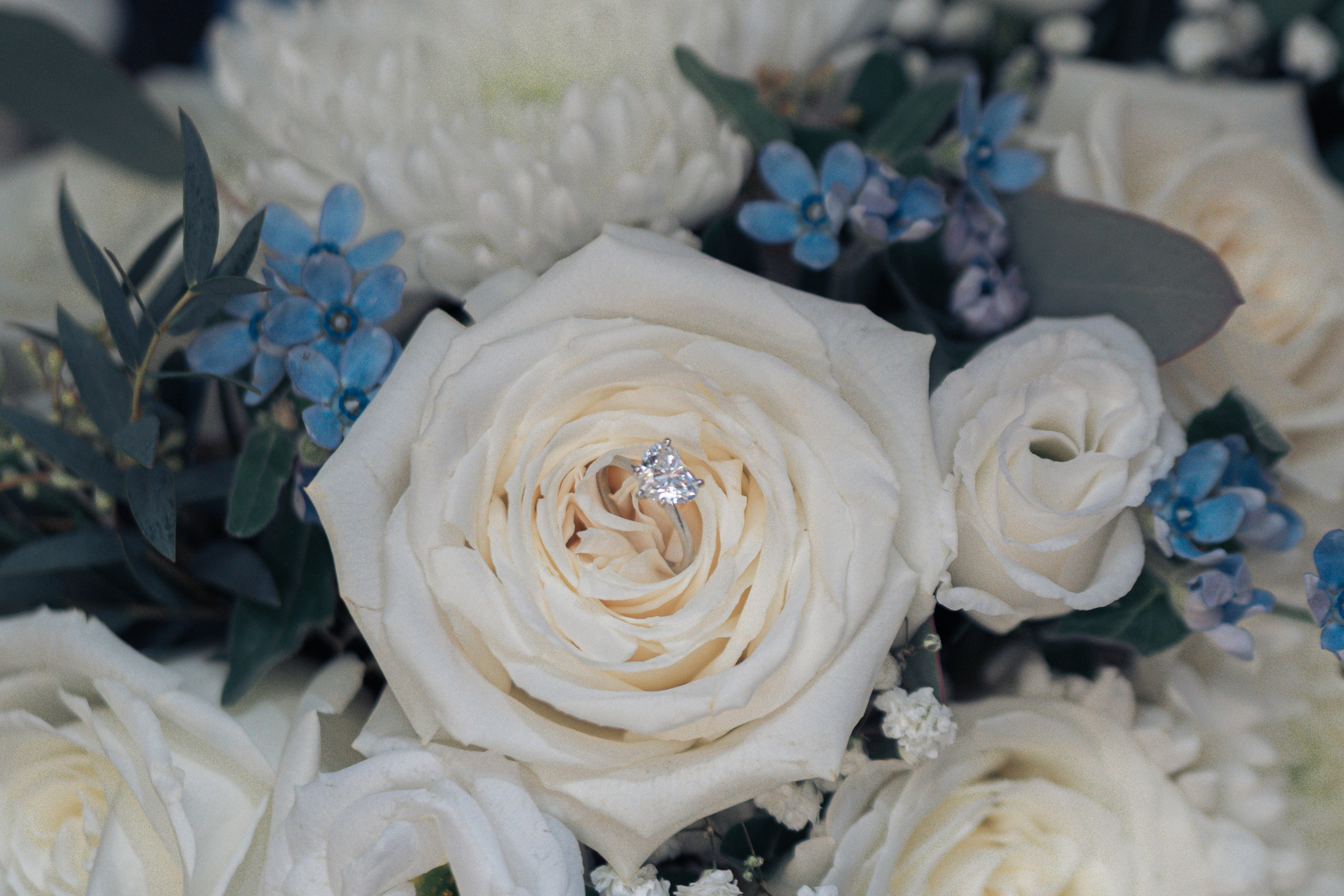 Tiffany&Kevin — Wedding / Engagement Story. Madhurina photography
