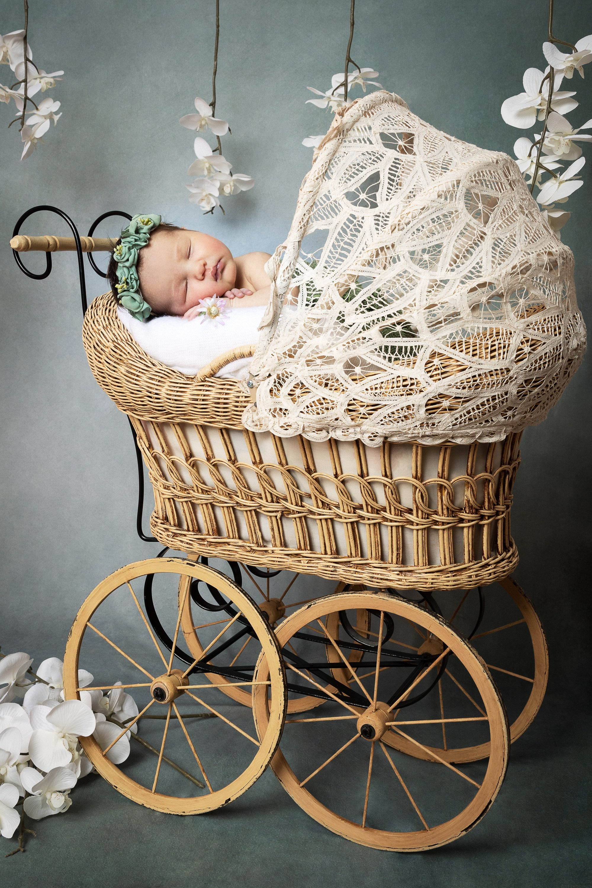 NEWBORN. Je suis photographe portraitiste et je réalise des portraits à toutes les étapes de votre vie! Bienvenue dans mon studio à Westmount, Qc