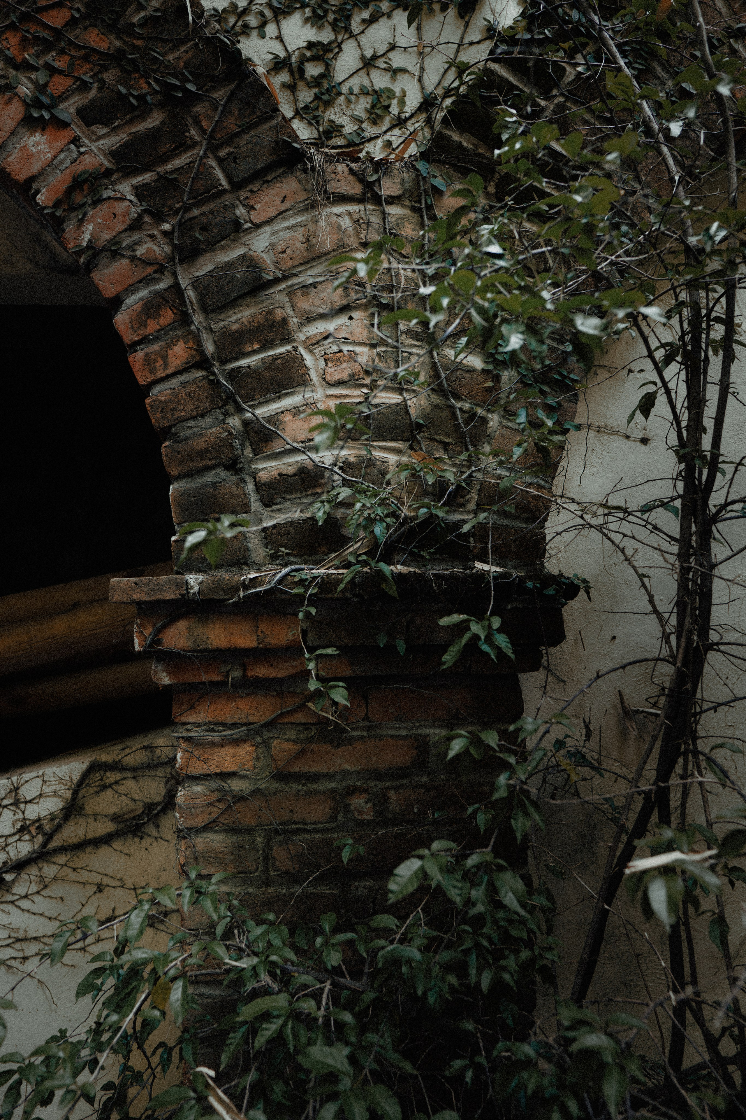 THE ARCHIVE. TWO MILLIMETERS