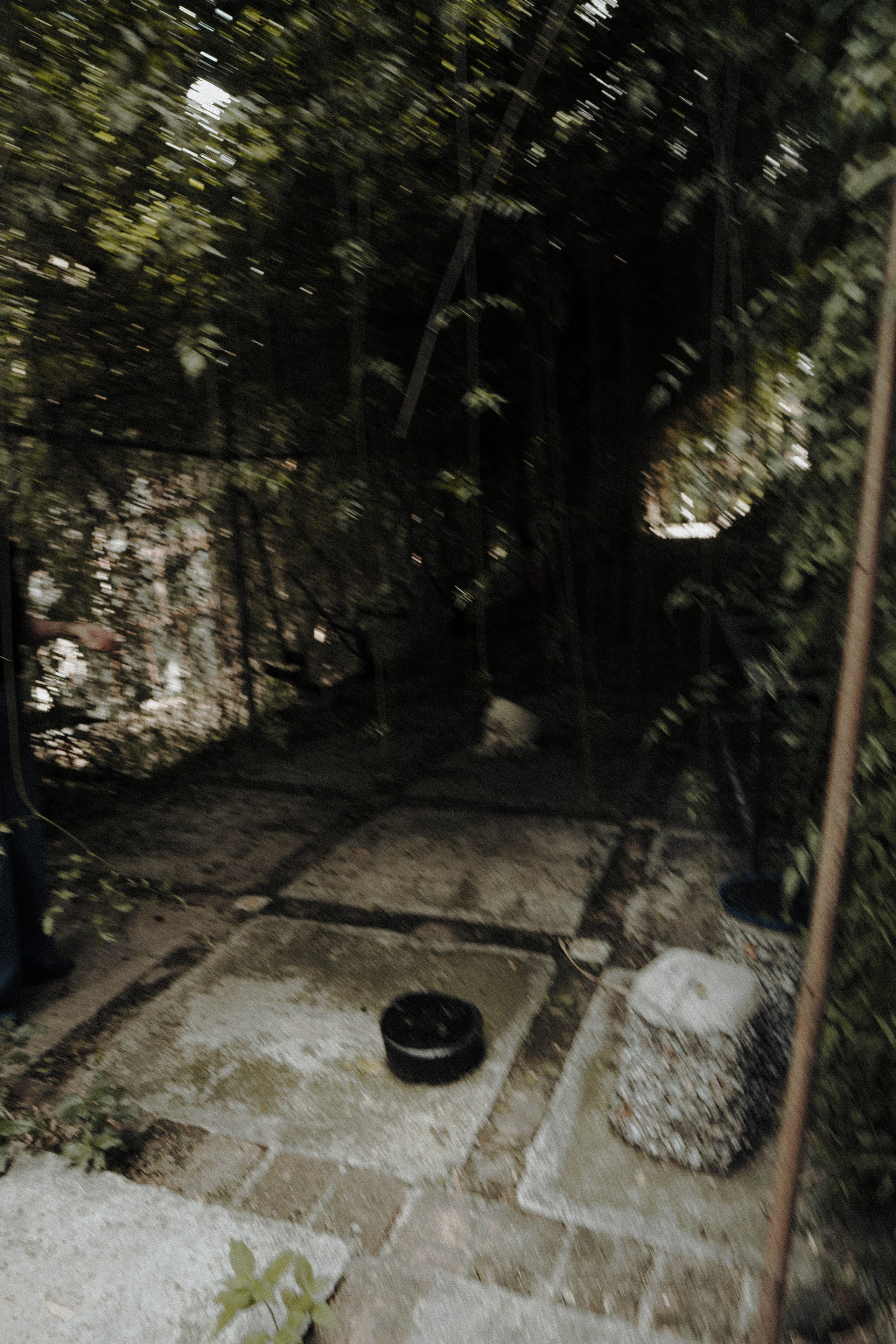 THE ARCHIVE. TWO MILLIMETERS