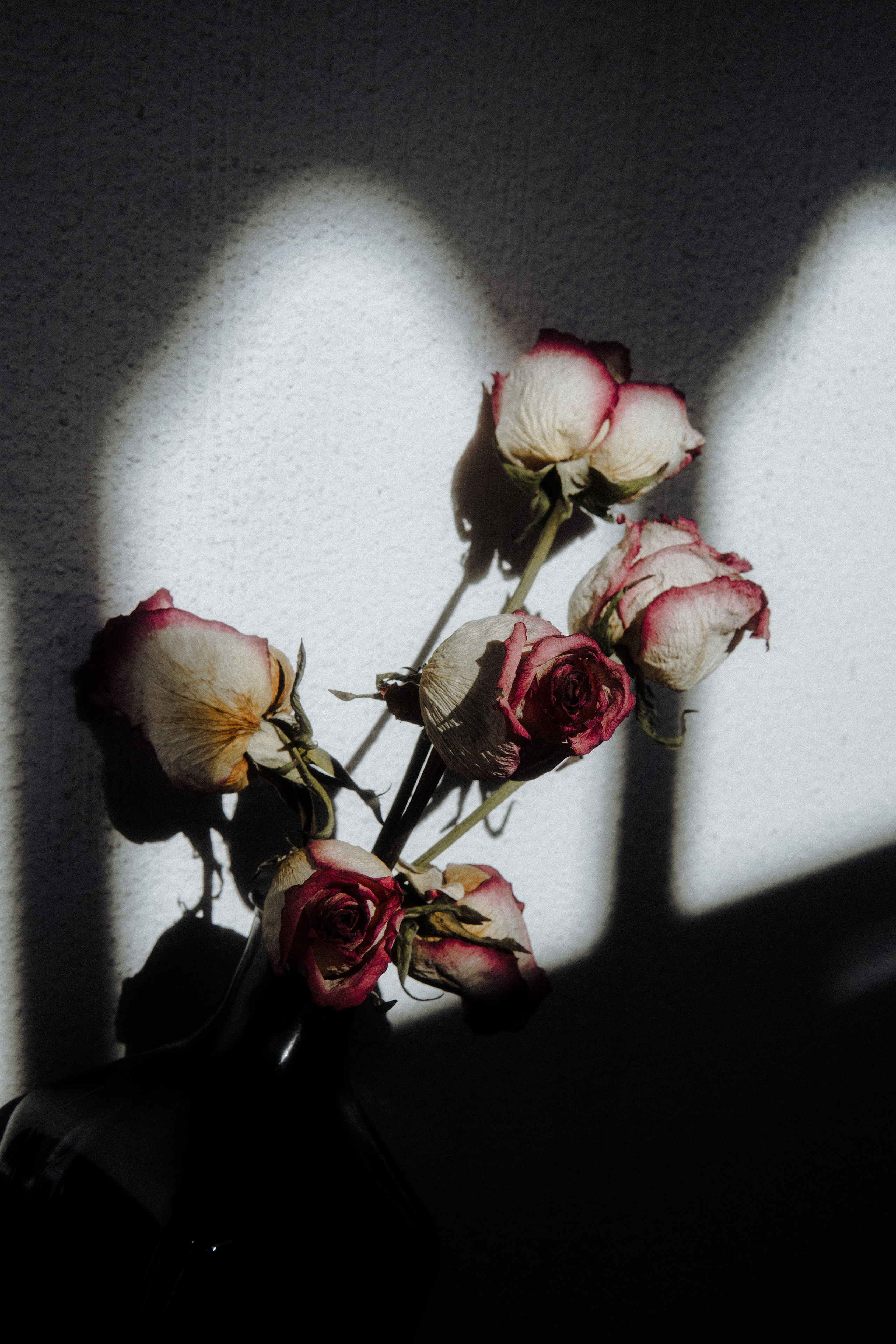 THE ARCHIVE. TWO MILLIMETERS
