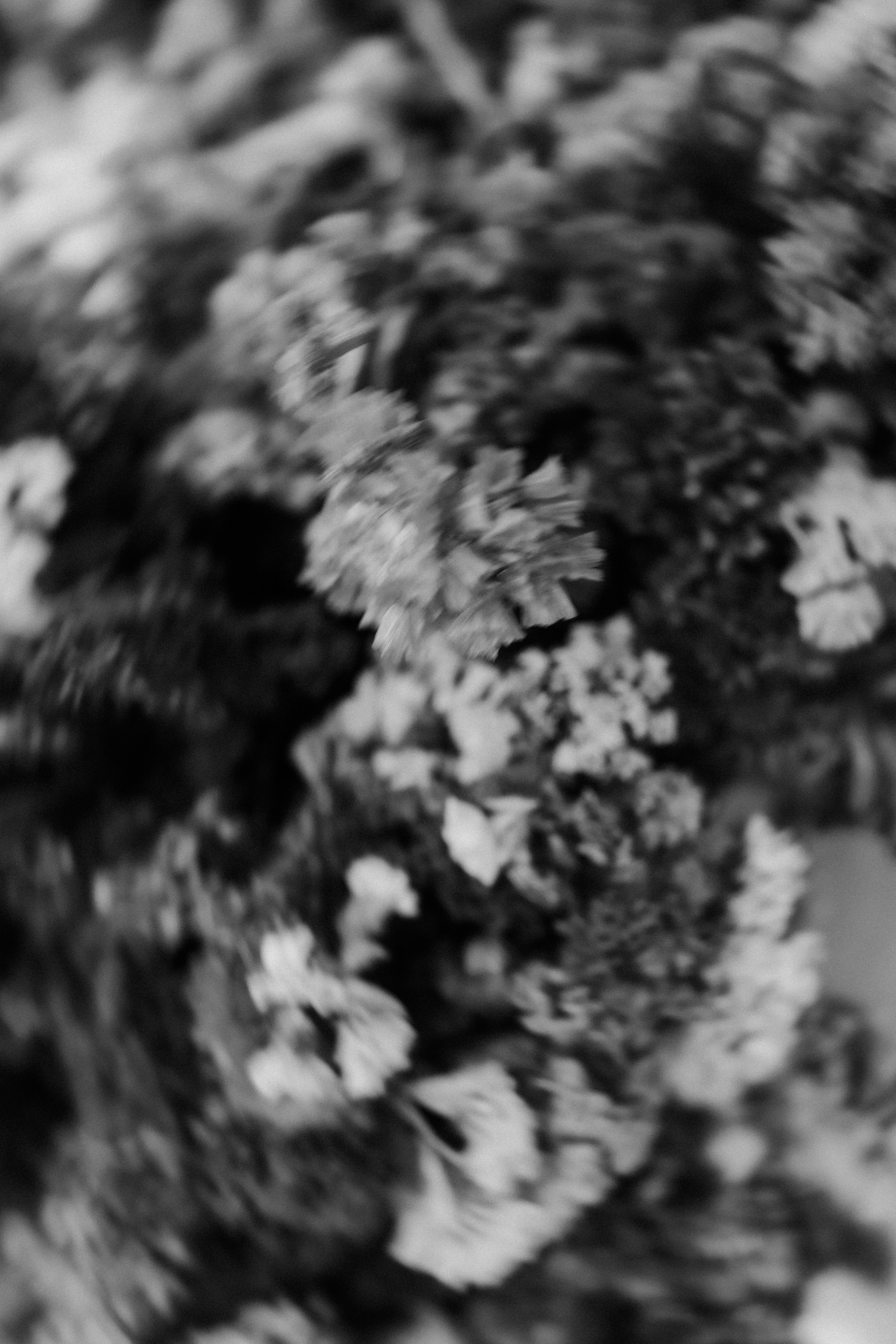 THE ARCHIVE. TWO MILLIMETERS