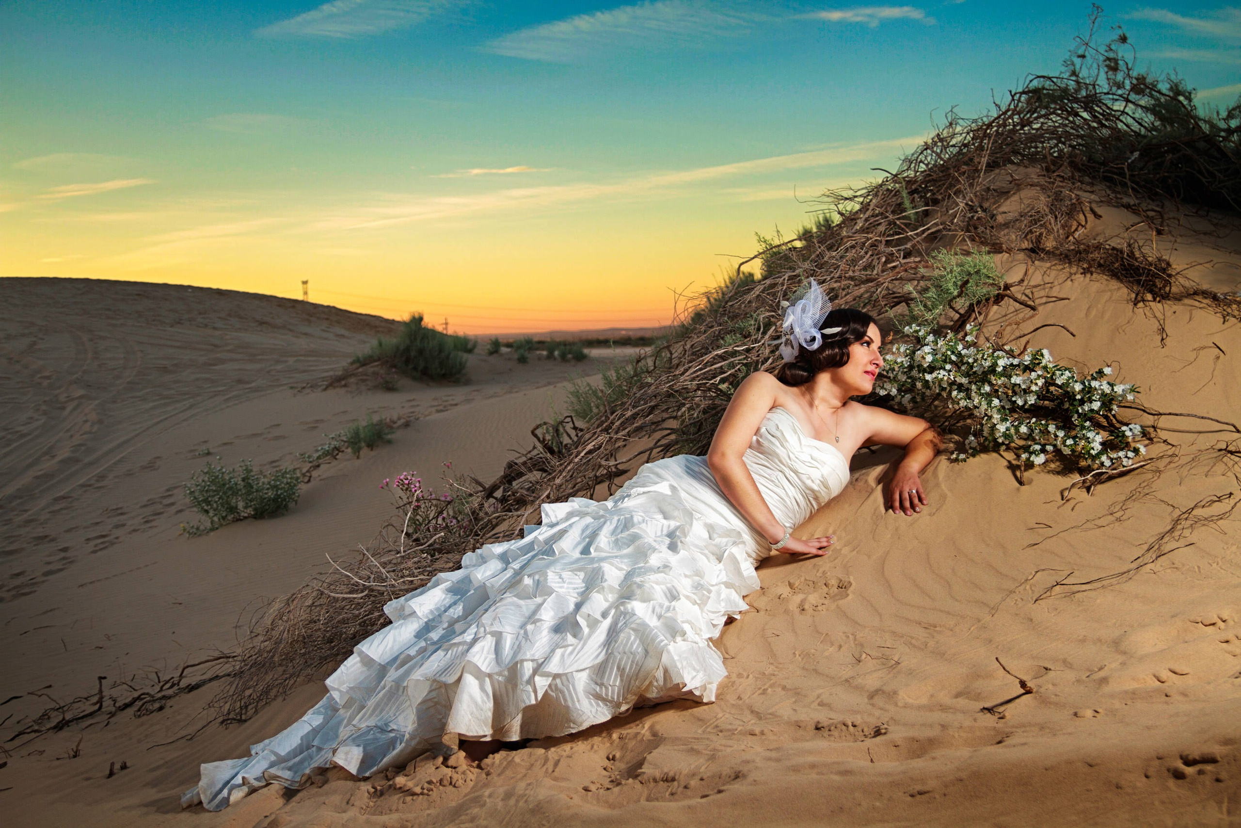 Bodas. Fotógrafo Profesional en Chihuahua, México — Alex Mendoza