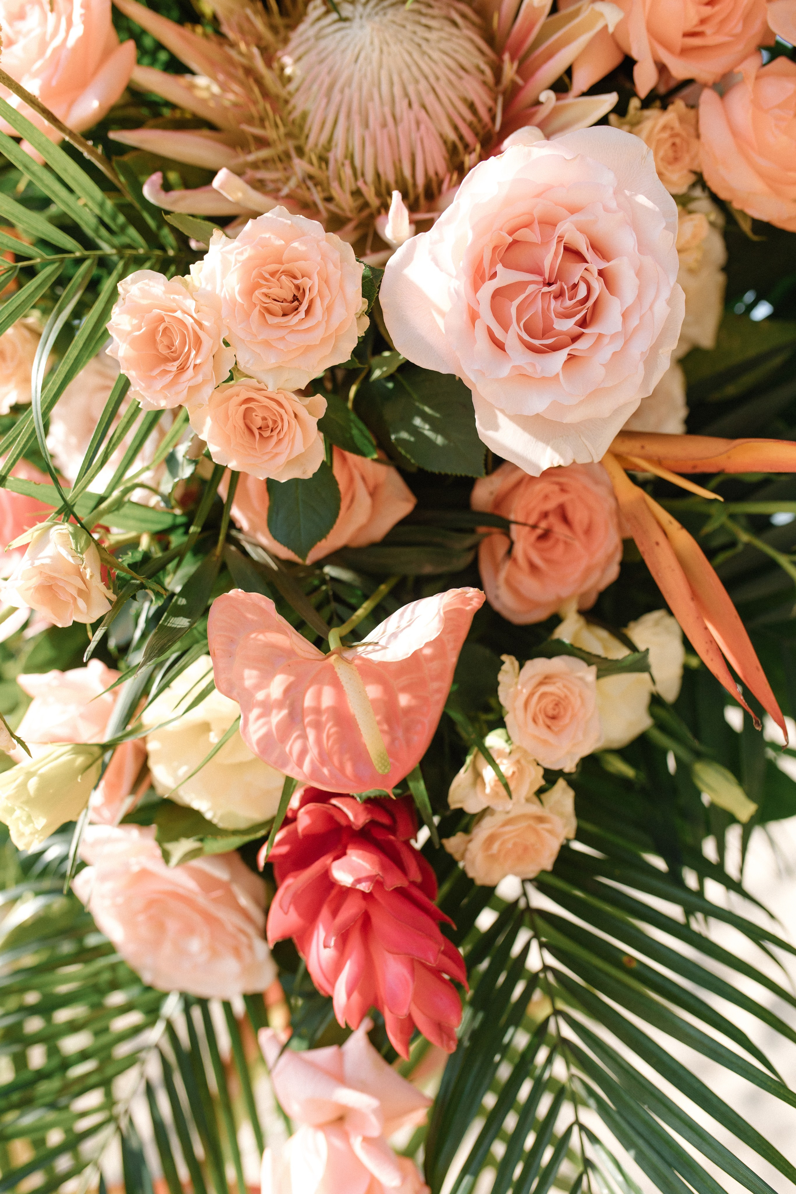 Villa del Oso, Sayulita. Wedding photographer Mexico Sayulita Puerto Vallarta Punta Mita Cabo