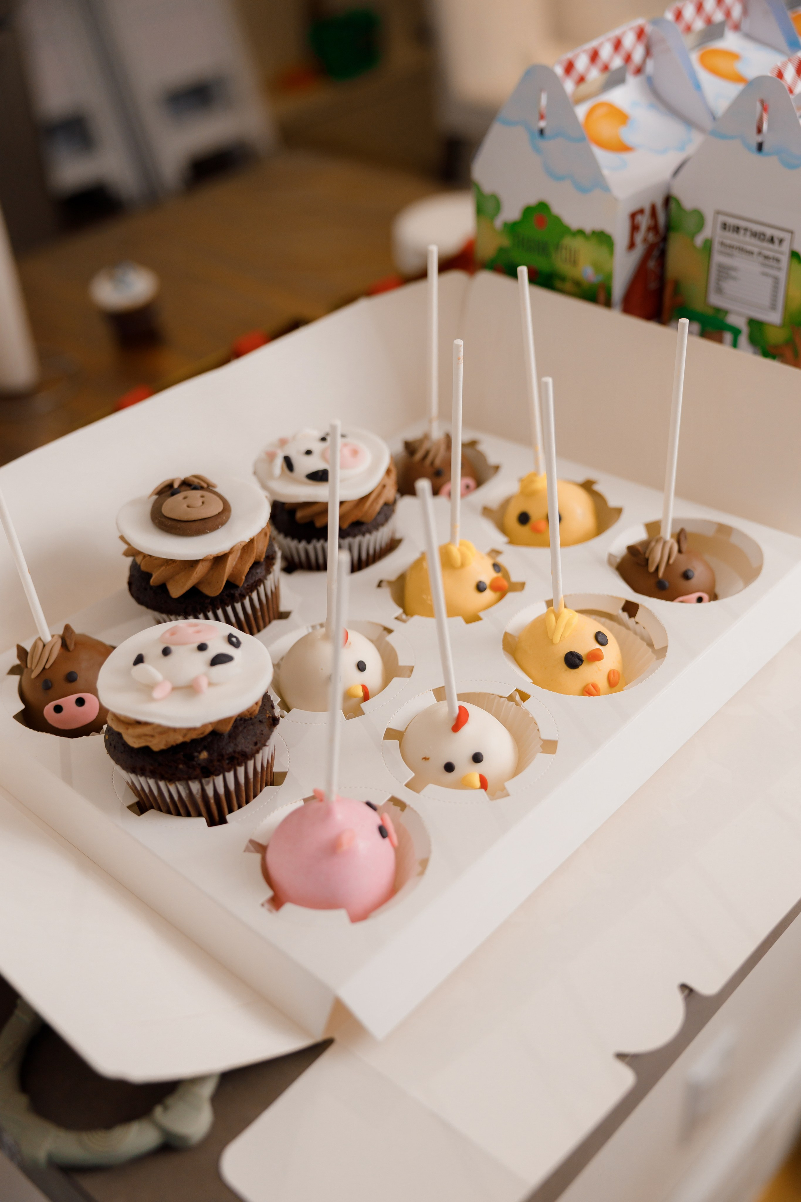 Fateh’s 1st birthday. Photographer Elvira Hryshchenko