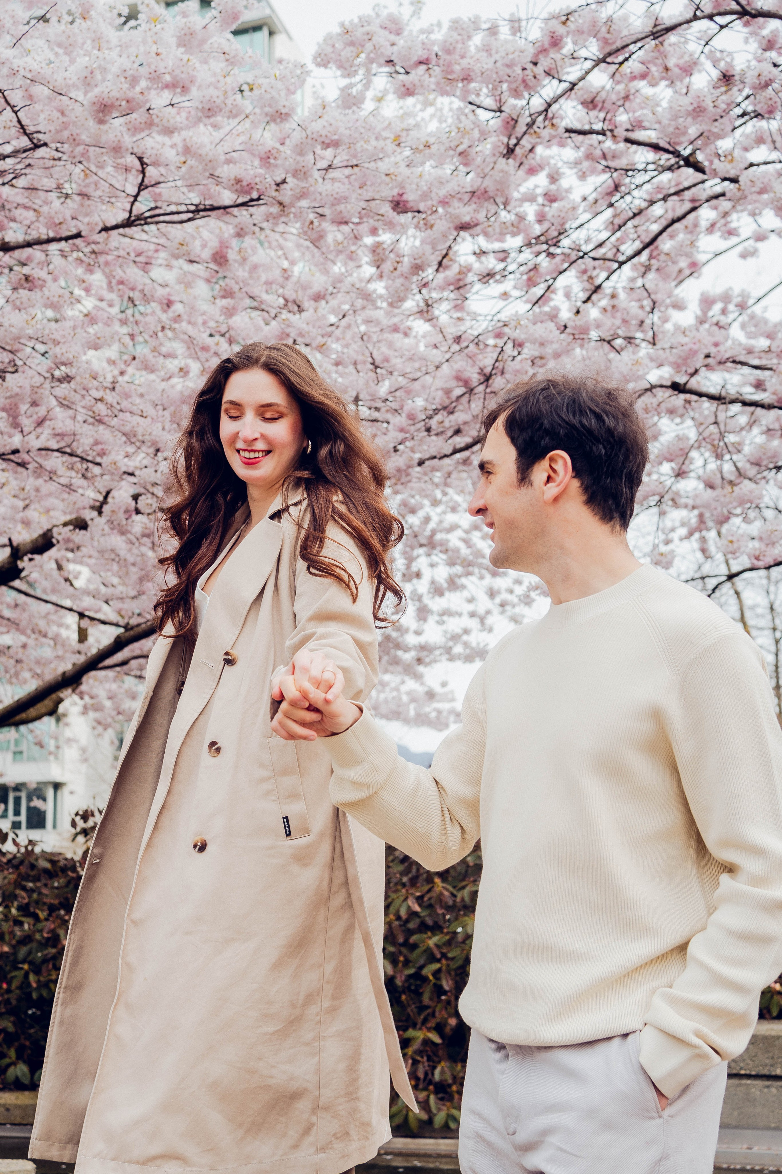 Cherry blossom. Photographer Lana