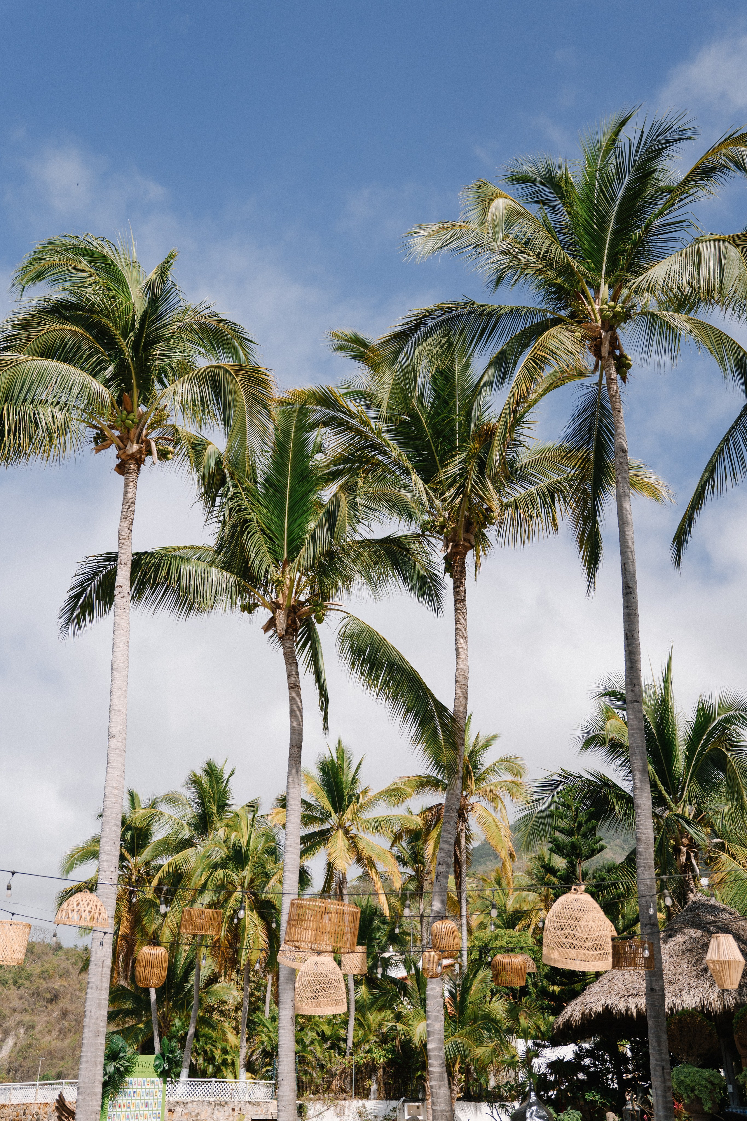 Hacienda Palo Maria, Puerto Vallarta. Wedding photographer Mexico Sayulita Puerto Vallarta Punta Mita Cabo