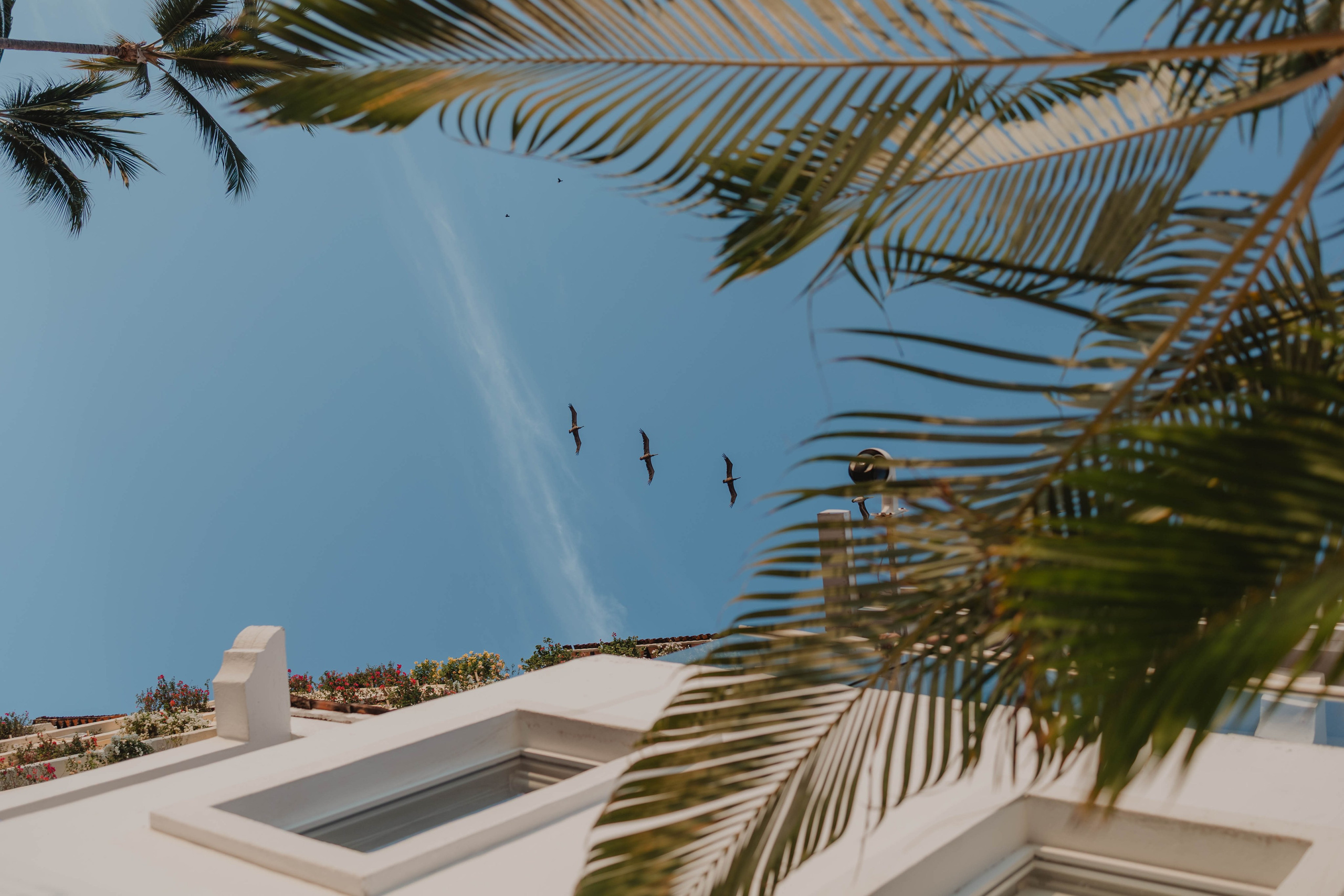 Casa Karma Wedding Photographer Puerto Vallarta 🤍. Fotógrafo de Bodas en Puerto Vallarta y Riviera Nayarit | VL photo & film