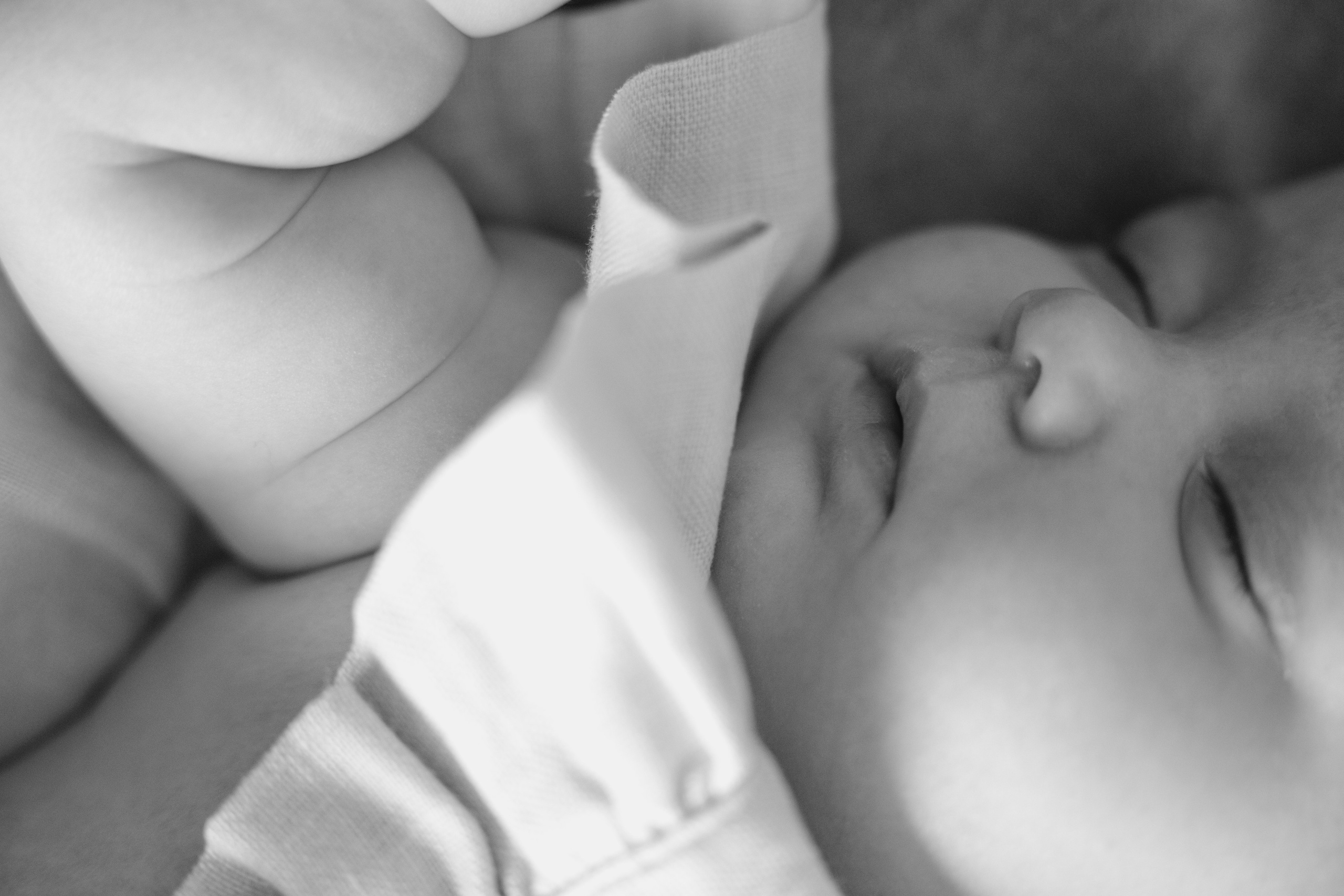 New born. Photographer Elvira Hryshchenko