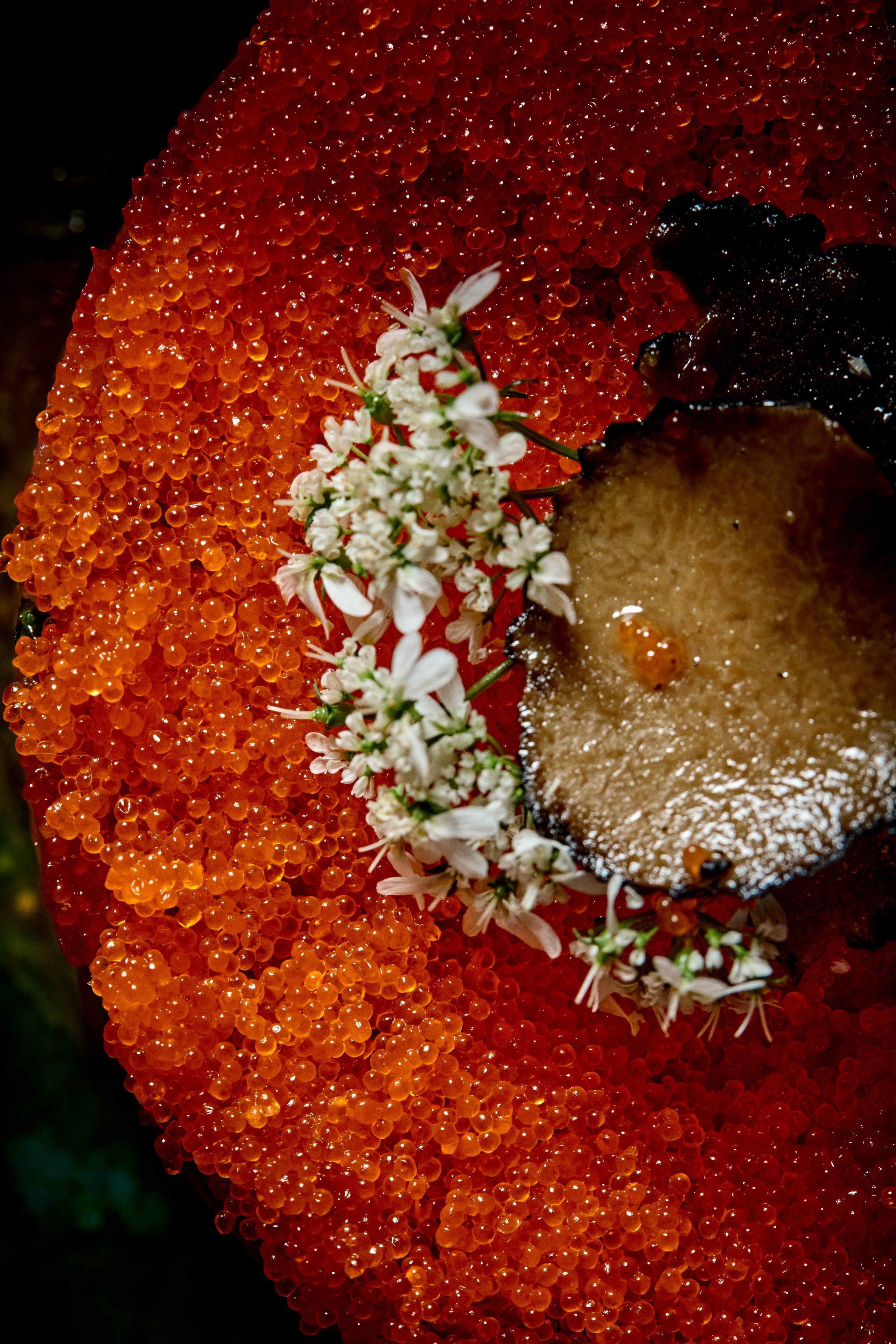 Japanese Food. Commercial Food Photography & Films