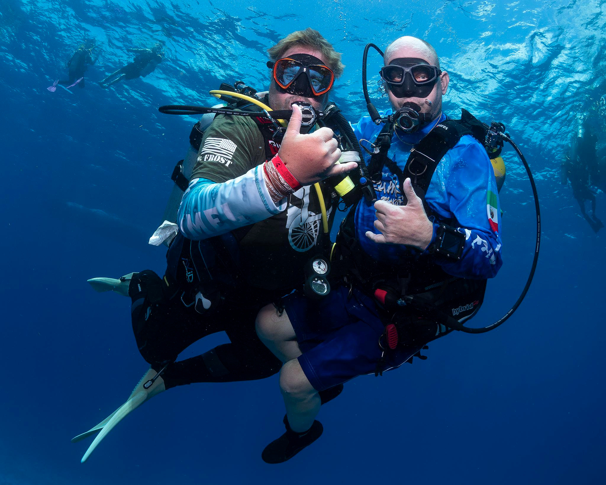 Under water. Your photographer on land and under water— Alexey Zaytsev