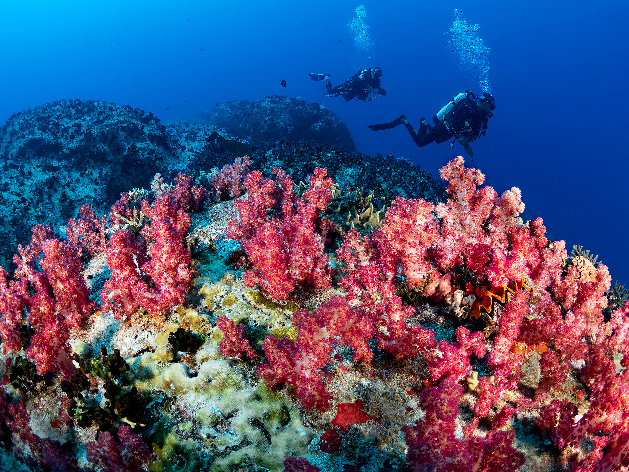 Under water. Your photographer on land and under water— Alexey Zaytsev