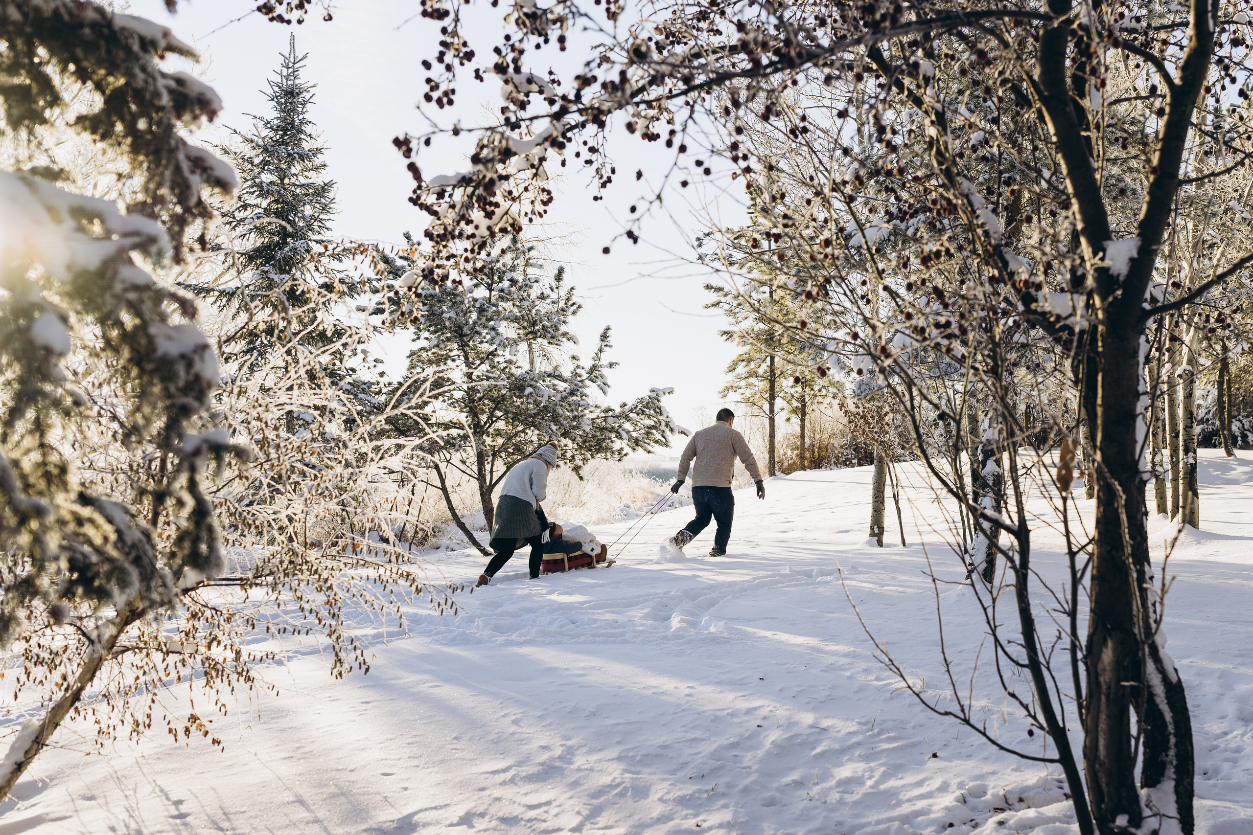 Katie & fam. Calgary Wedding & Lifestyle Photographer — Yevhen Polishchuk