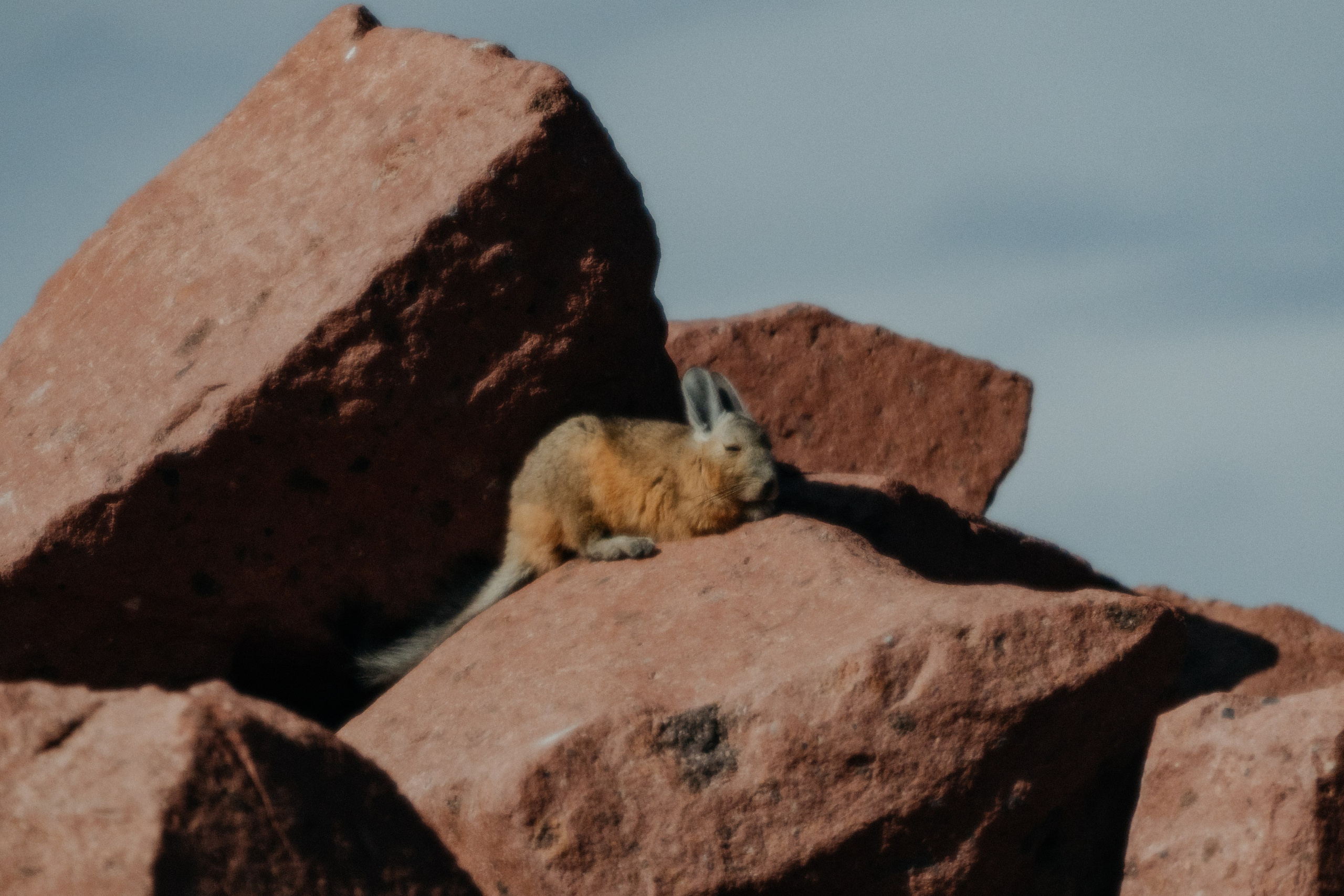 Cobertura de passeio — Piedras Rojas. Fotógrafo em San Pedro de Atacama