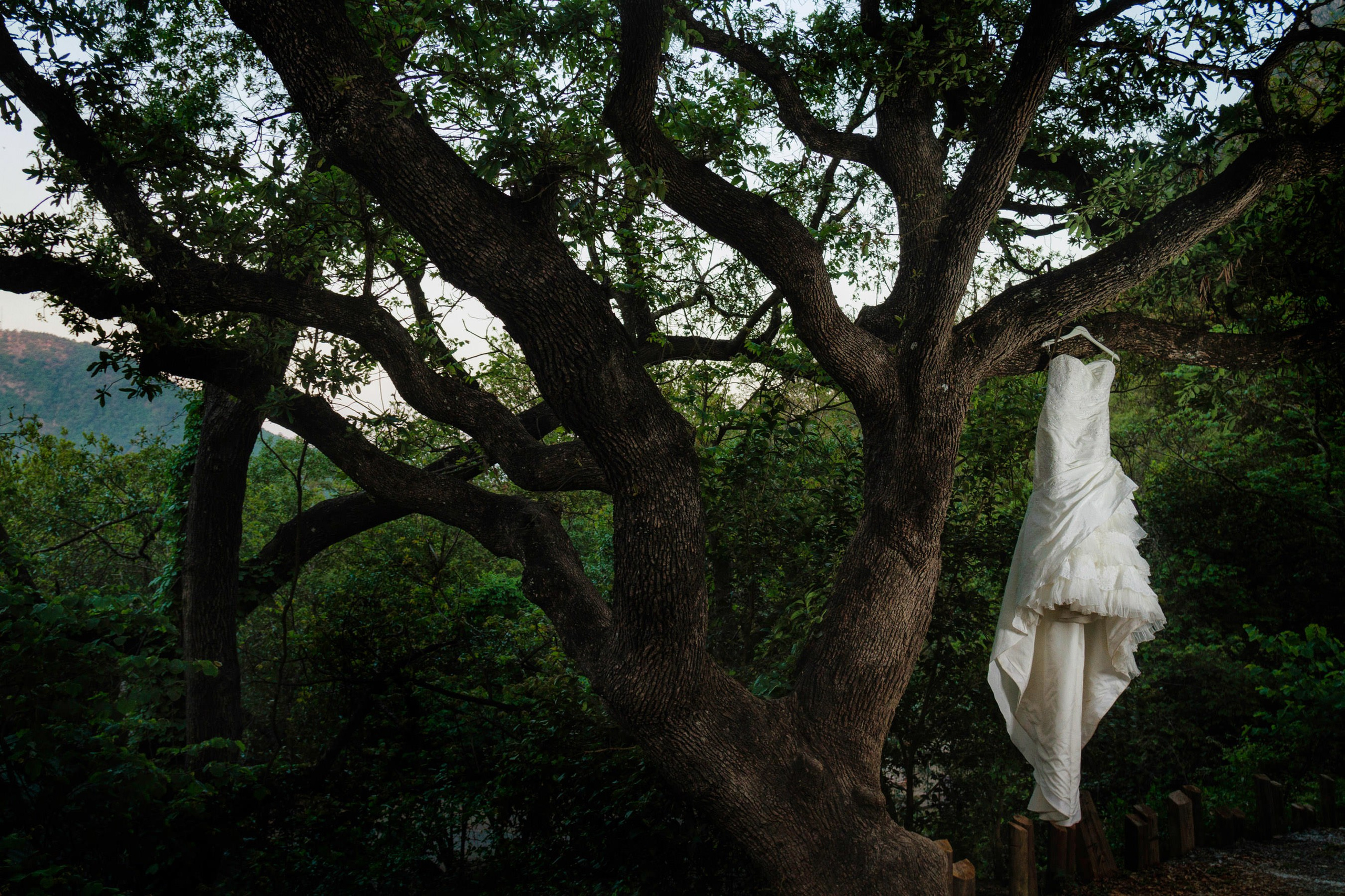 Bodas. Fotógrafo Profesional en Chihuahua, México — Alex Mendoza