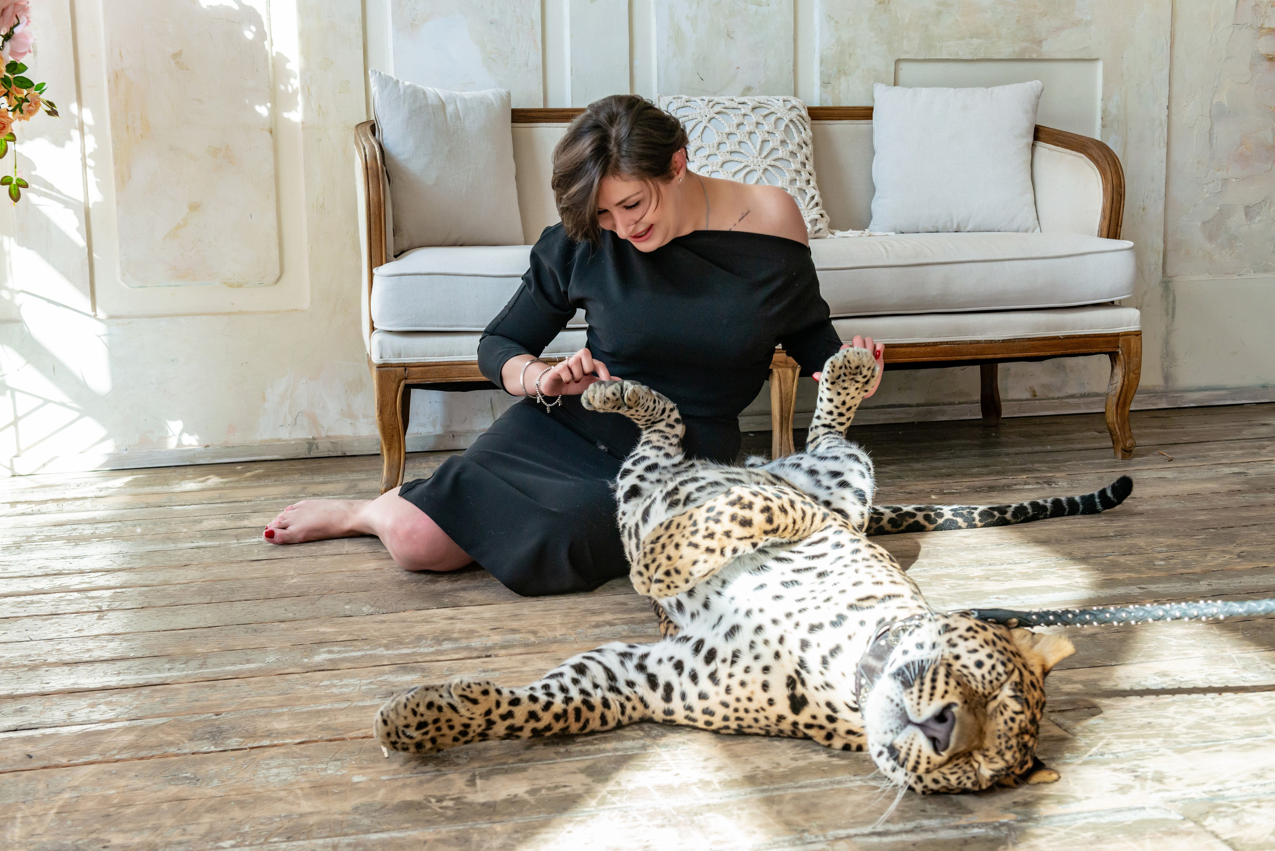 Photosession in the studio with a leopard. PHOTOGRAPHER QUINTANA ROO