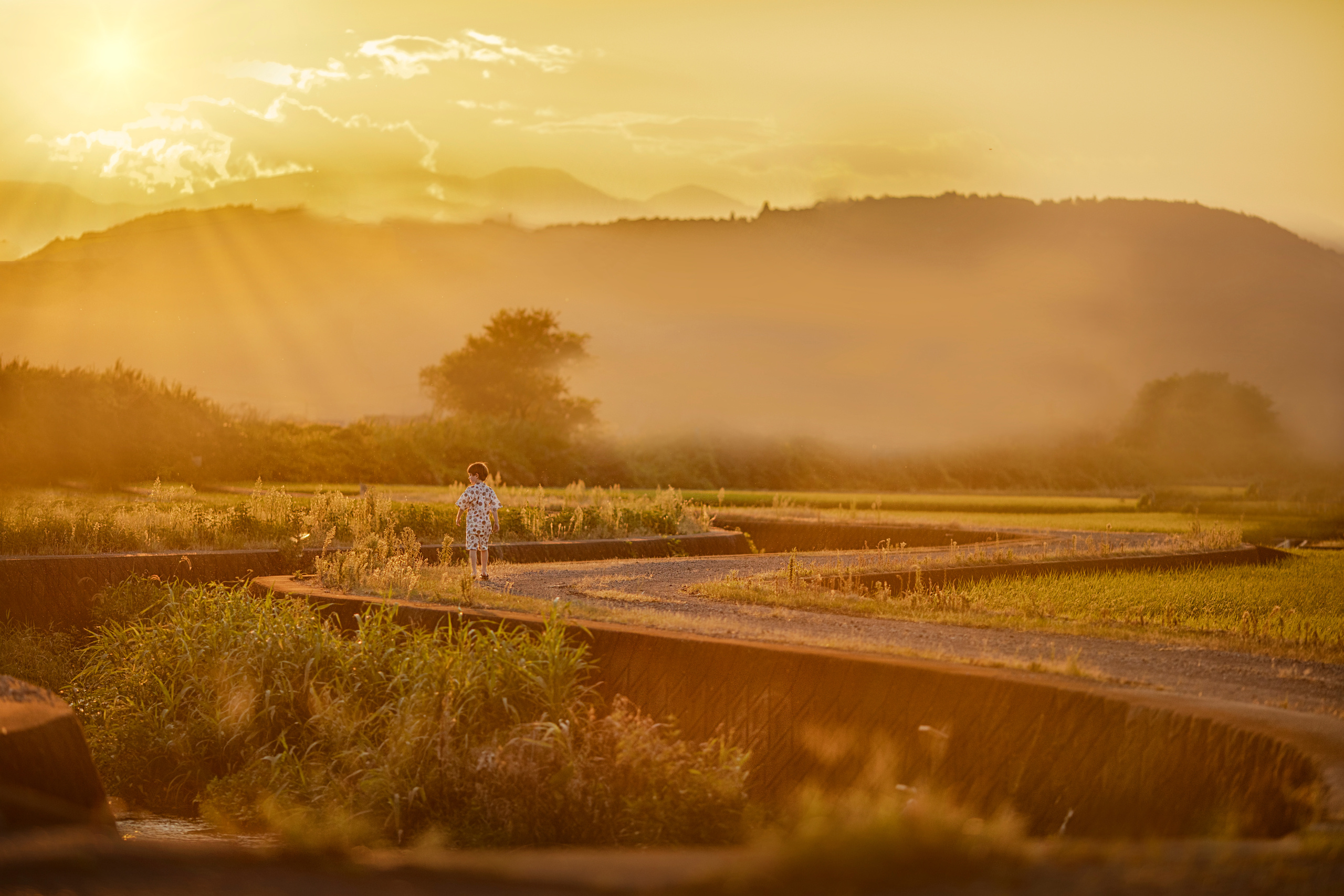 出張カメラマン　七五三　753 家族写真　家族　子供　記念写真　山梨県　東京　静岡　長野. Kids and Family Photographer in Japan　子供と家族の撮影　日本