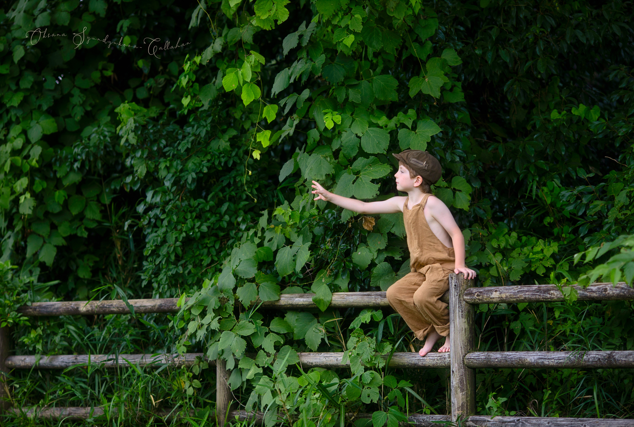 出張カメラマン　七五三　753 家族写真　家族　子供　記念写真　山梨県　東京　静岡　長野. Kids and Family Photographer in Japan　子供と家族の撮影　日本