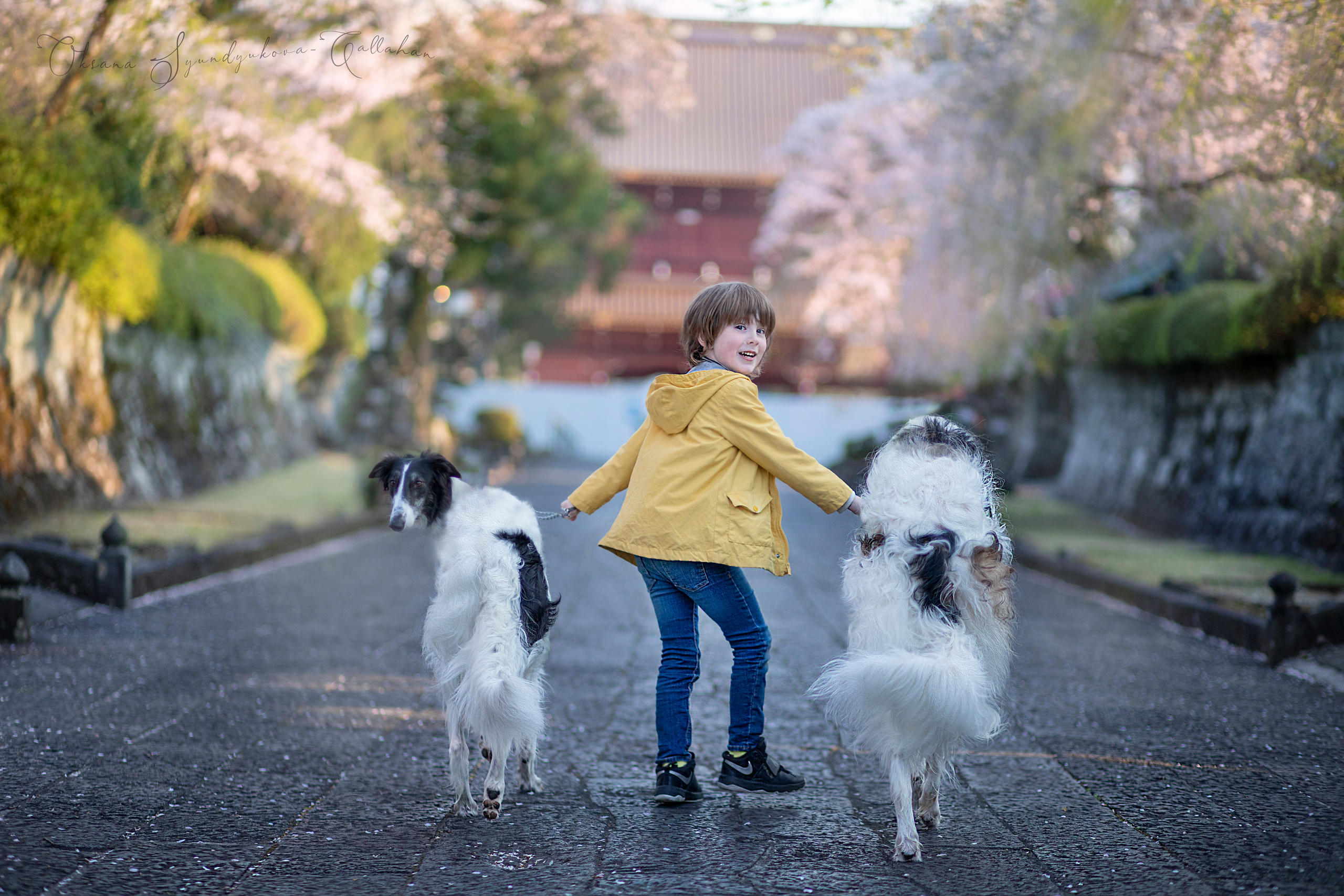 出張カメラマン　七五三　753 家族写真　家族　子供　記念写真　山梨県　東京　静岡　長野. Kids and Family Photographer in Japan　子供と家族の撮影　日本