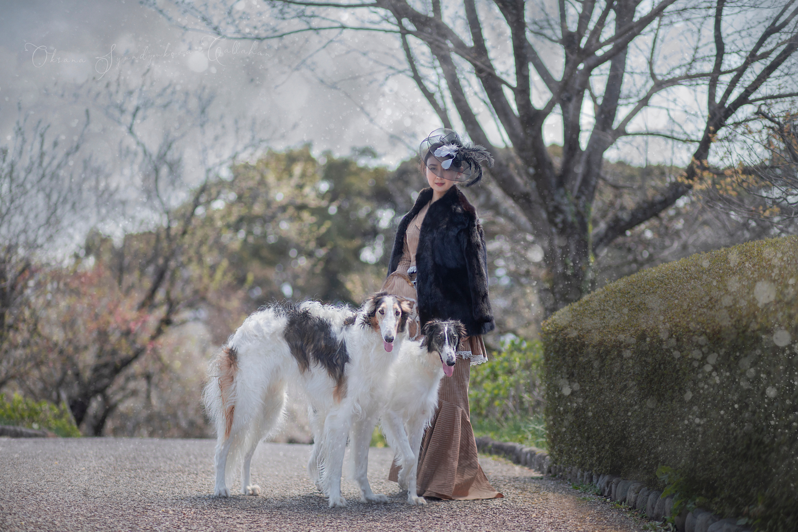 出張カメラマン　七五三　753 家族写真　家族　子供　記念写真　山梨県　東京　静岡　長野. Kids and Family Photographer in Japan　子供と家族の撮影　日本
