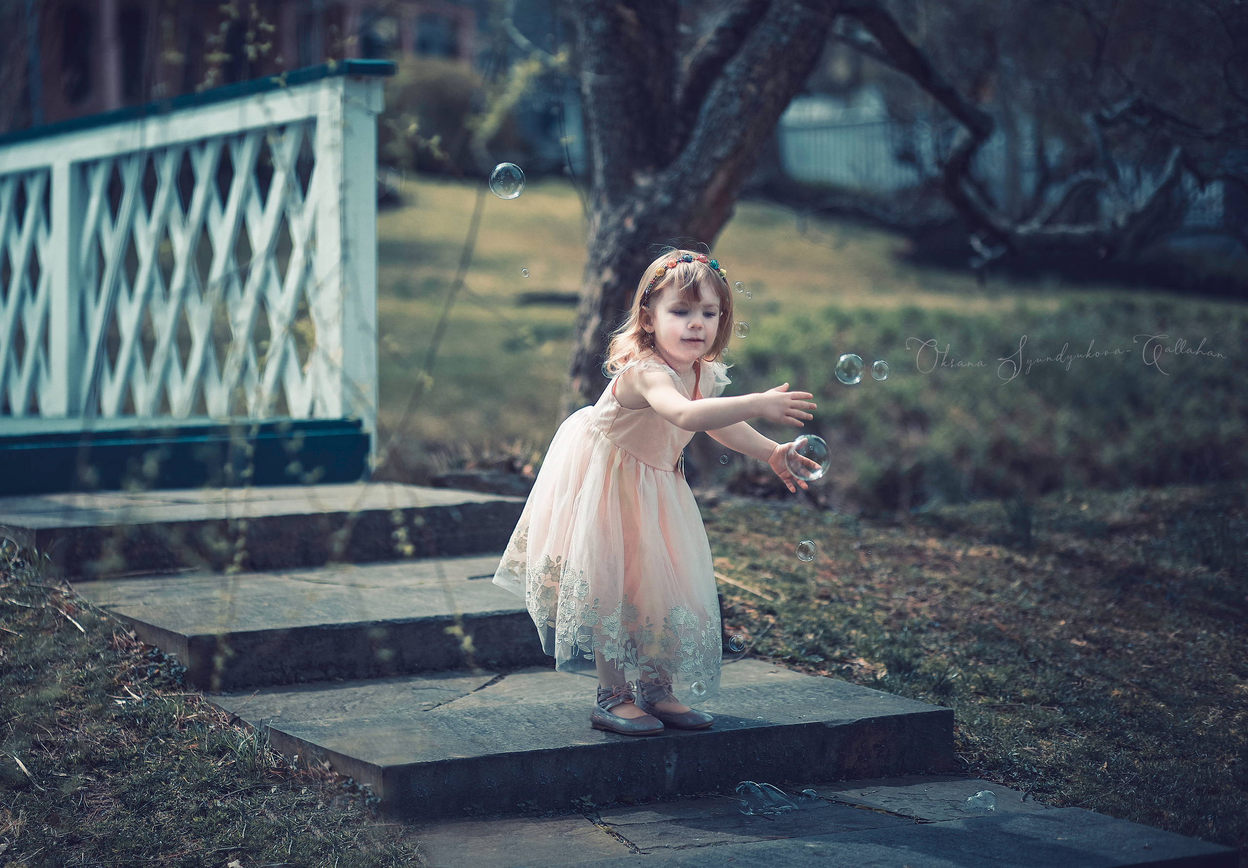 出張カメラマン　七五三　753 家族写真　家族　子供　記念写真　山梨県　東京　静岡　長野. Kids and Family Photographer in Japan　子供と家族の撮影　日本
