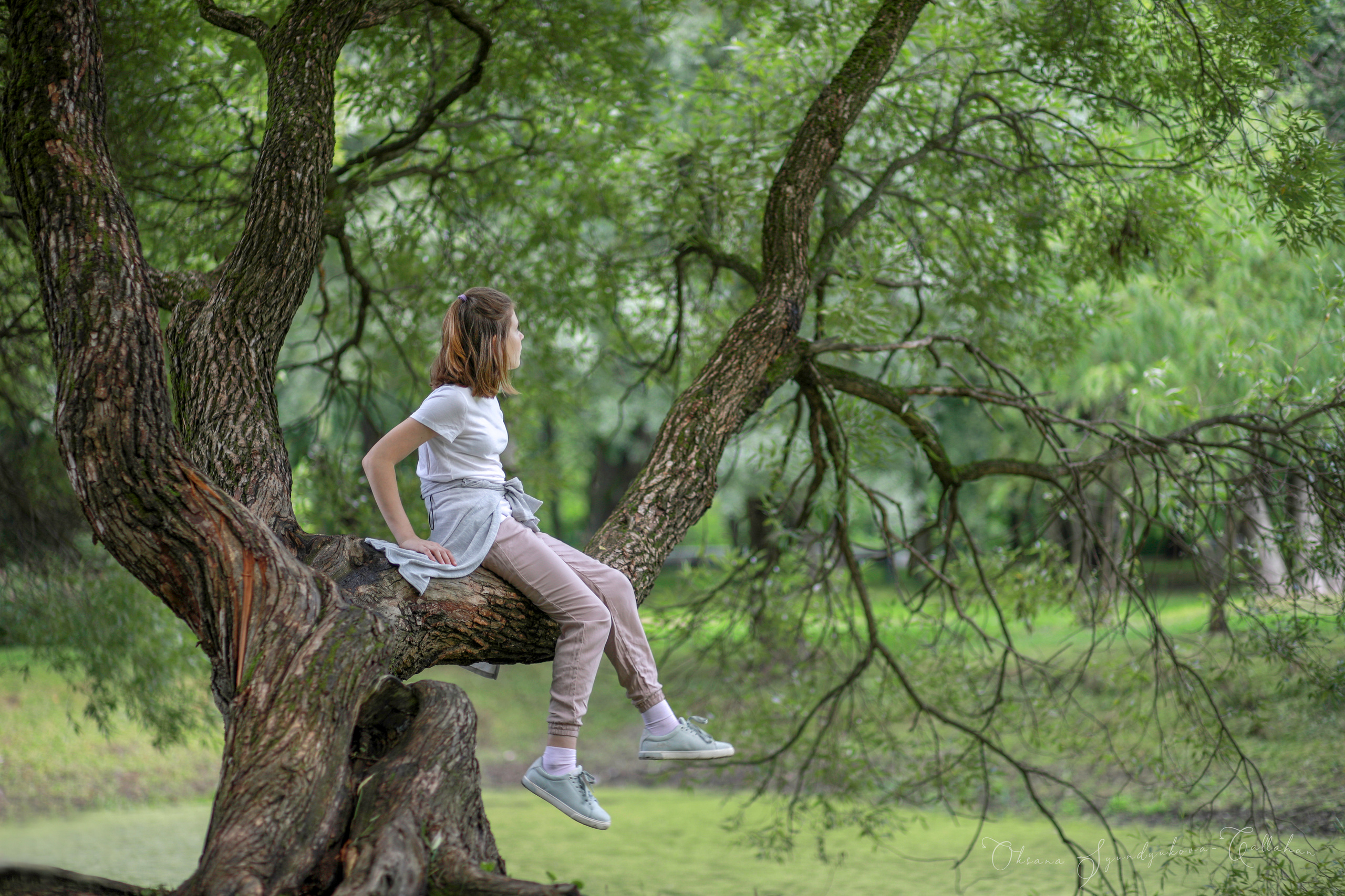 出張カメラマン　七五三　753 家族写真　家族　子供　記念写真　山梨県　東京　静岡　長野. Kids and Family Photographer in Japan　子供と家族の撮影　日本