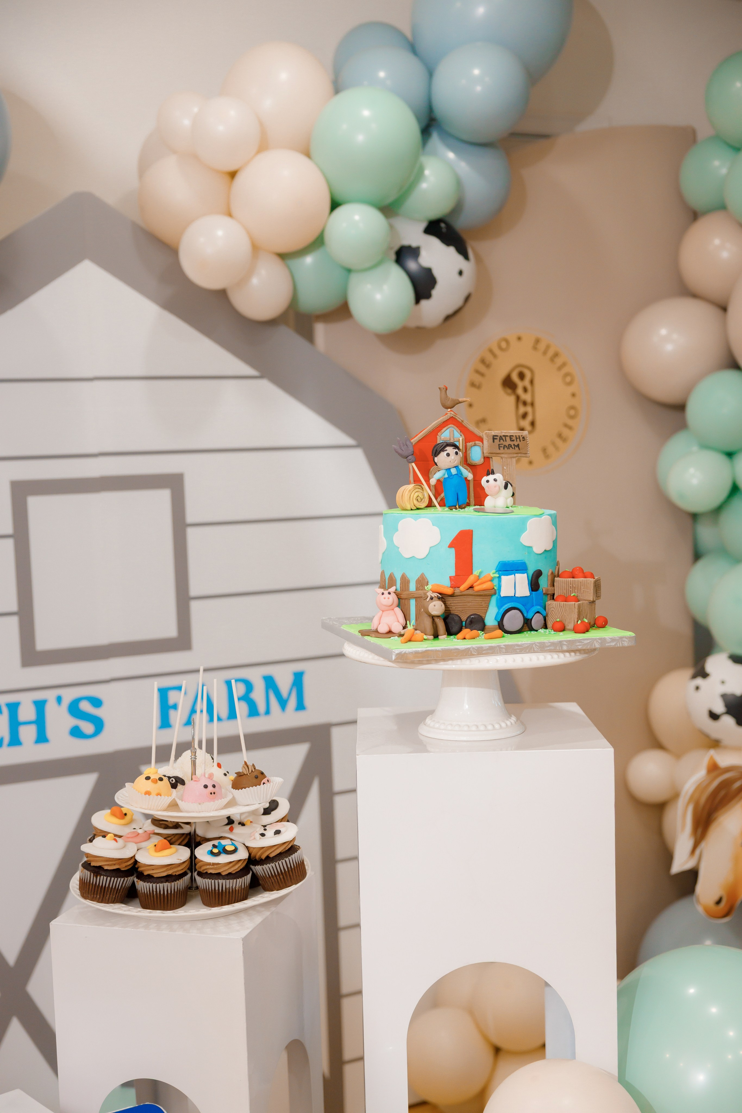 Fateh’s 1st birthday. Photographer Elvira Hryshchenko