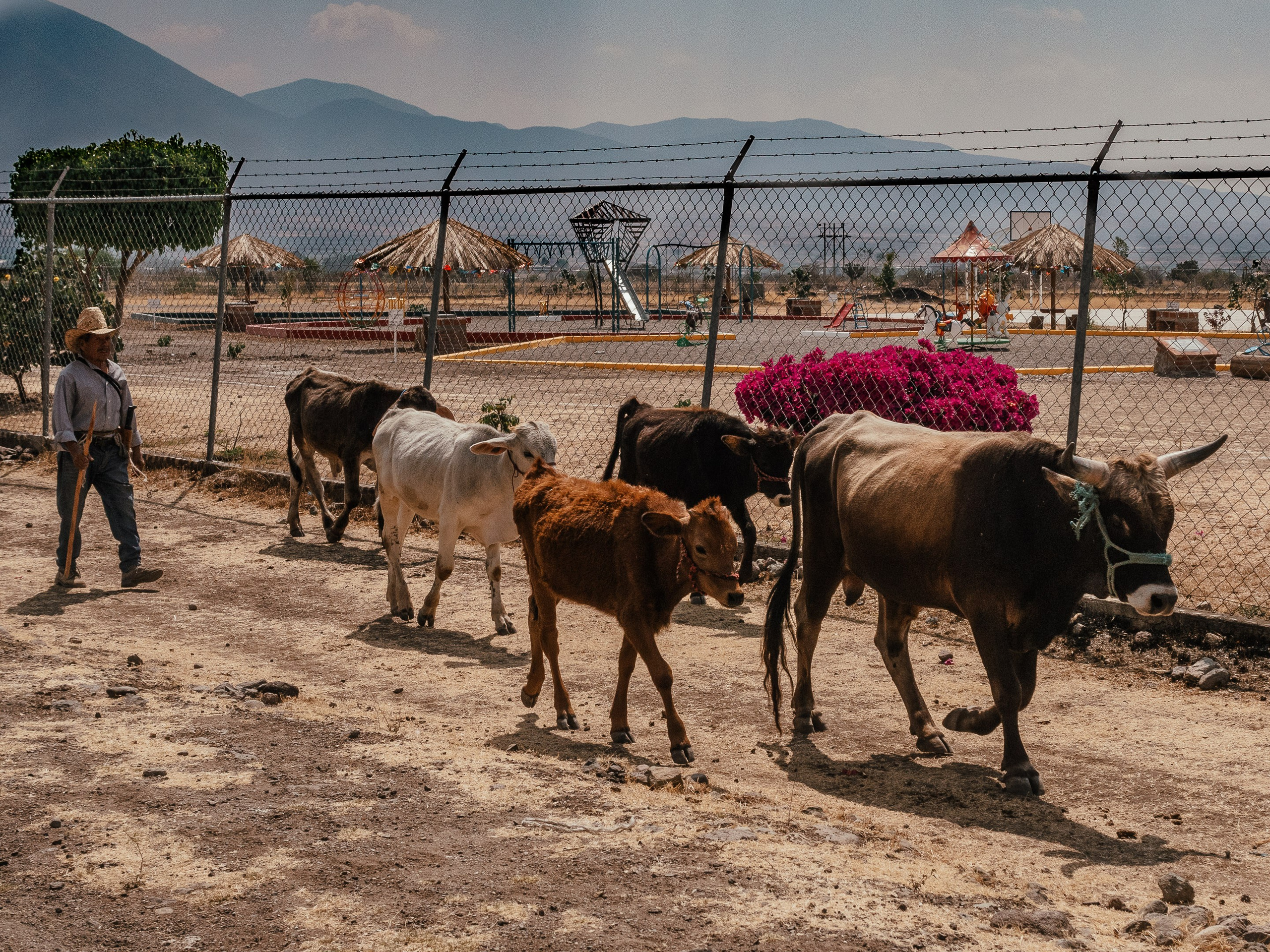 Santa Ana del Valle, Oaxaca, Mexico. Federico Borobio, street and documentary photography.